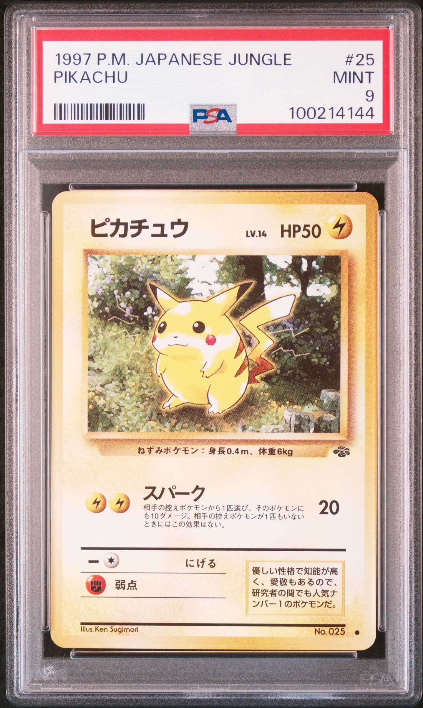 ピカチュウ ● : 旧裏 [PMCG2 No.025](拡張パック「ポケモンジャングル」)