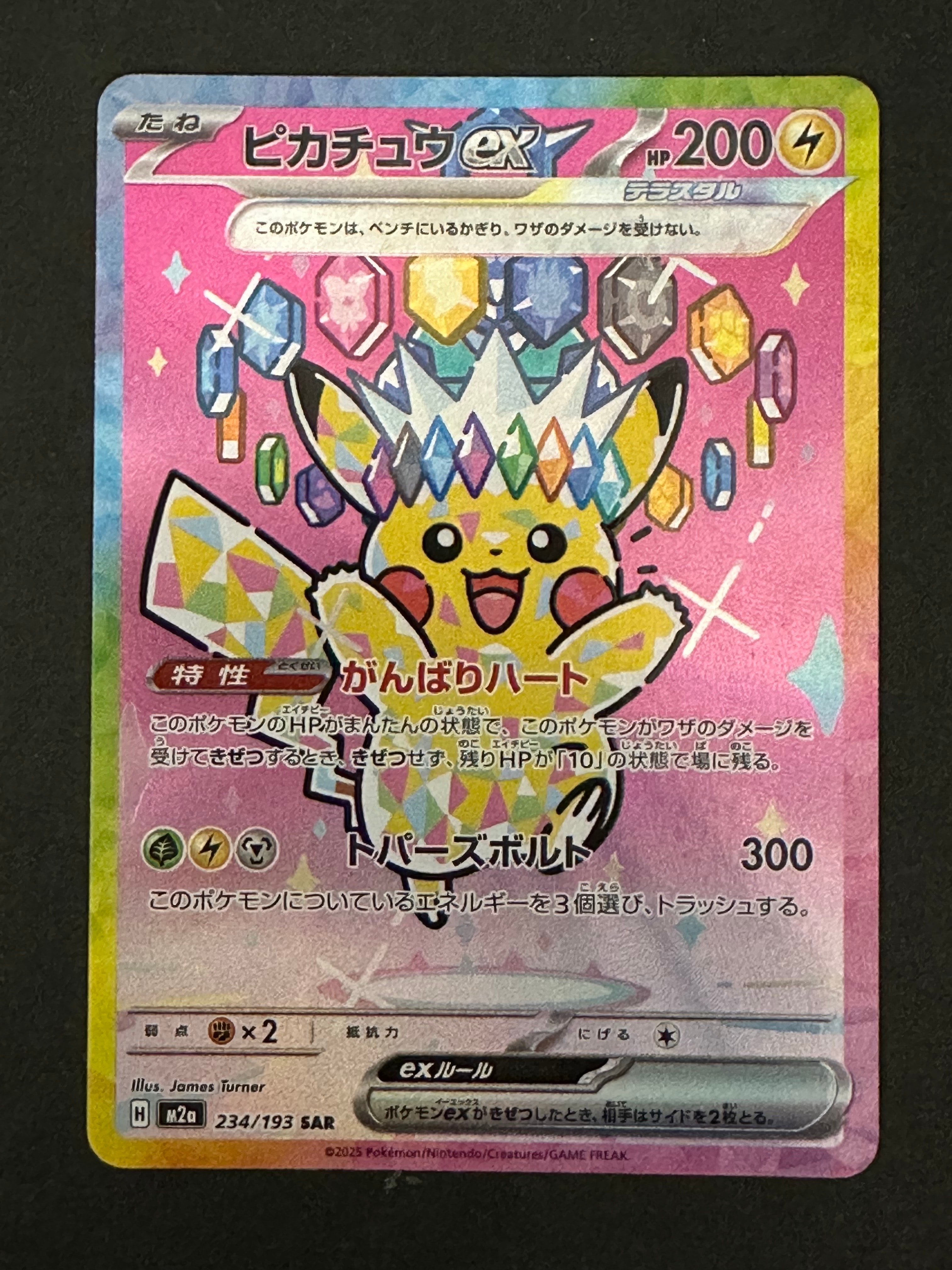 レックウザ [PCG 009/009](ポケパークプレミアムファイル「ブルー
