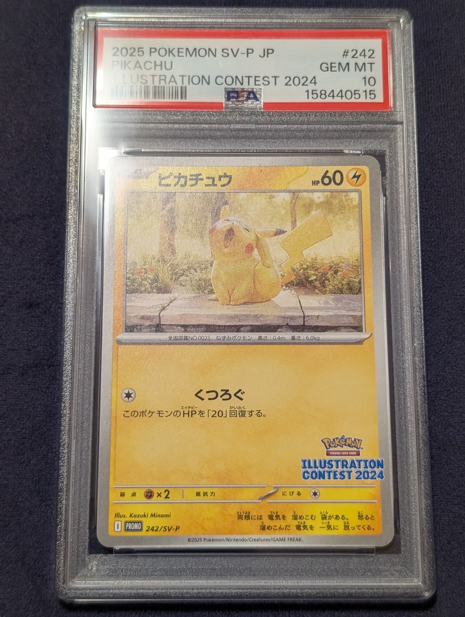 Pikachu [SV-P 242](Promo Card Pack "Illustration Contest 2024 Promo Card Commemoration Campaign for Award-Winning Works")