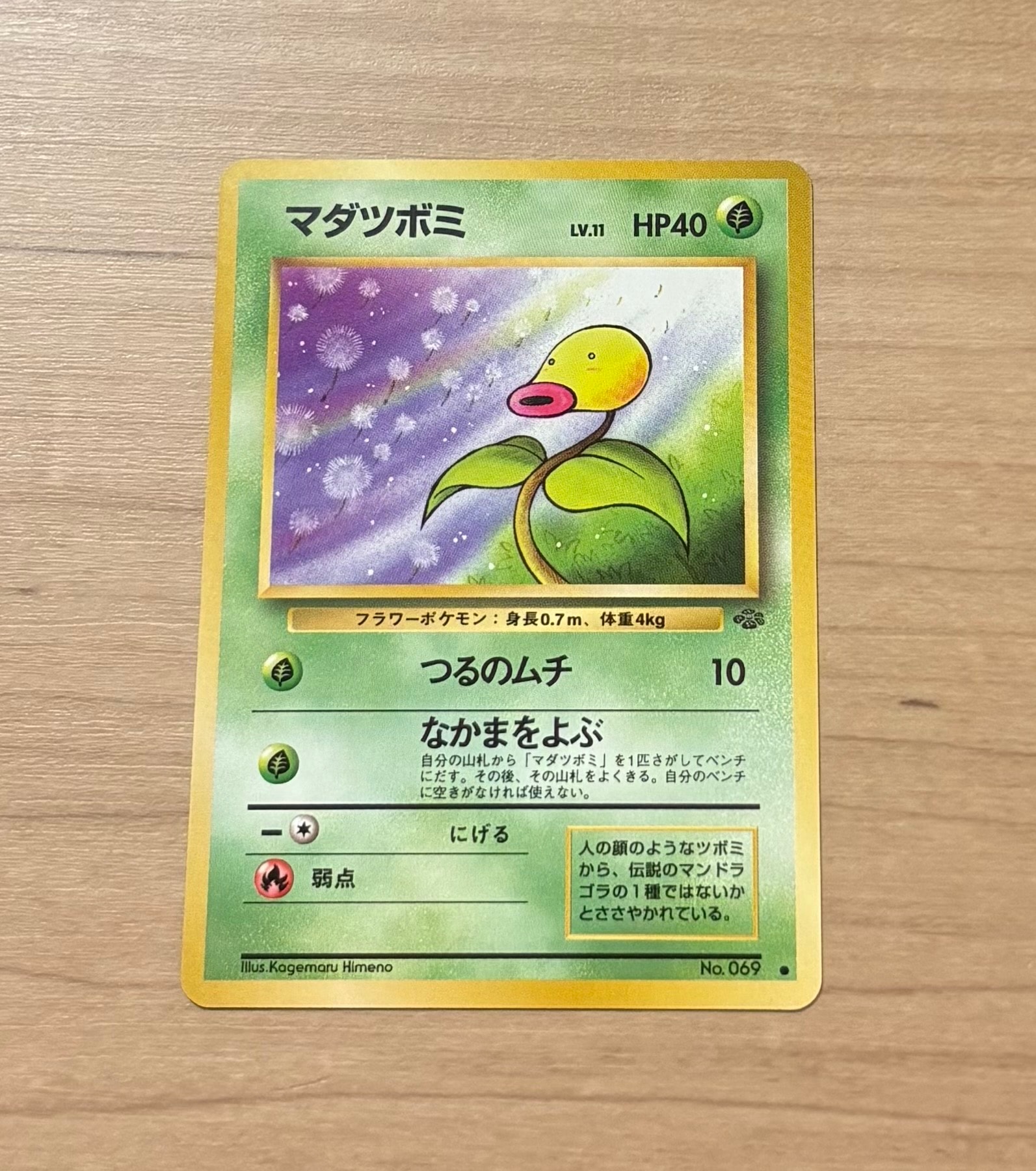 マダツボミ ● : 旧裏 [PMCG2 No.069](拡張パック「ポケモンジャングル」)
