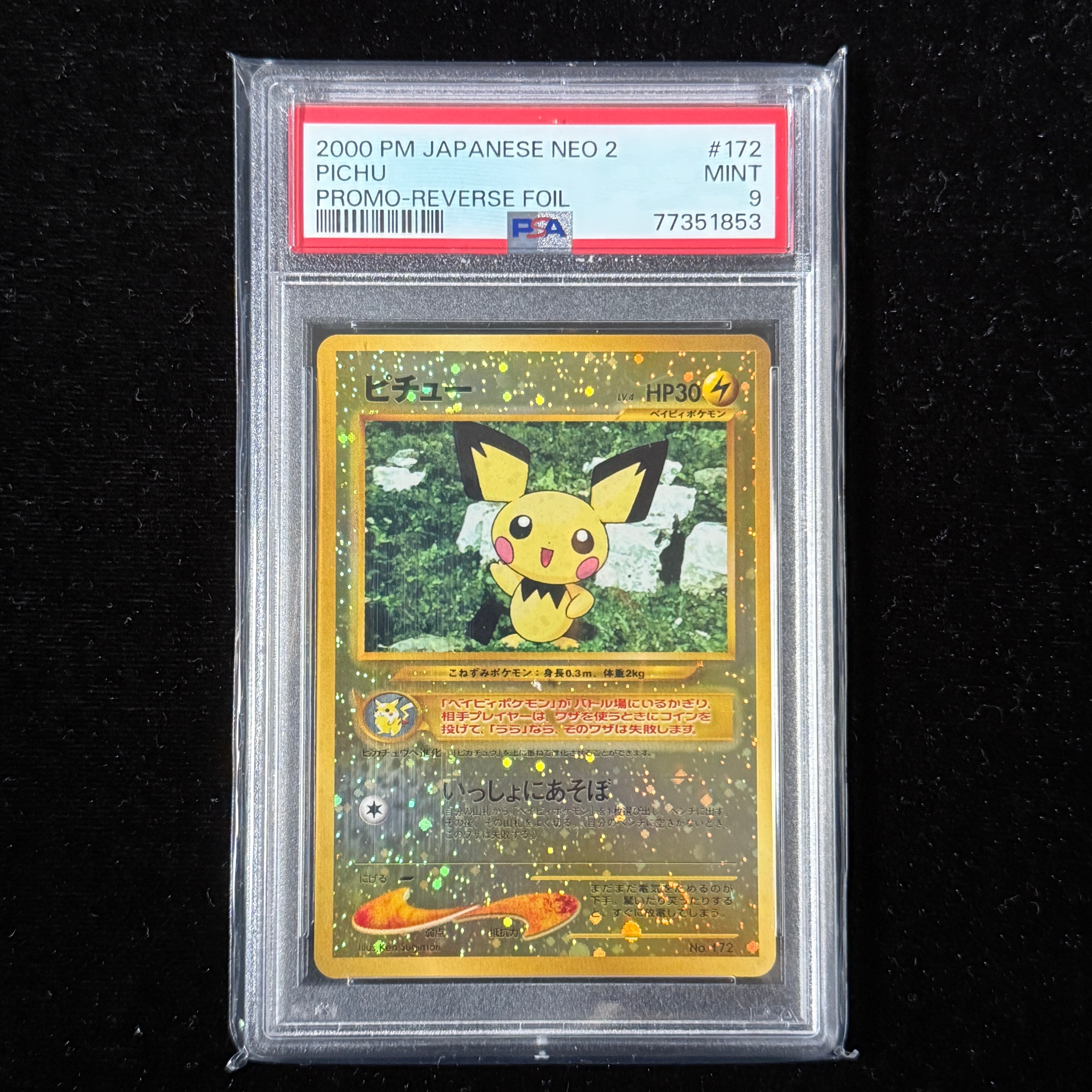 ピチュープレミアムファイル2: 旧裏[neoP2 No.172](プレミアムファイル2)