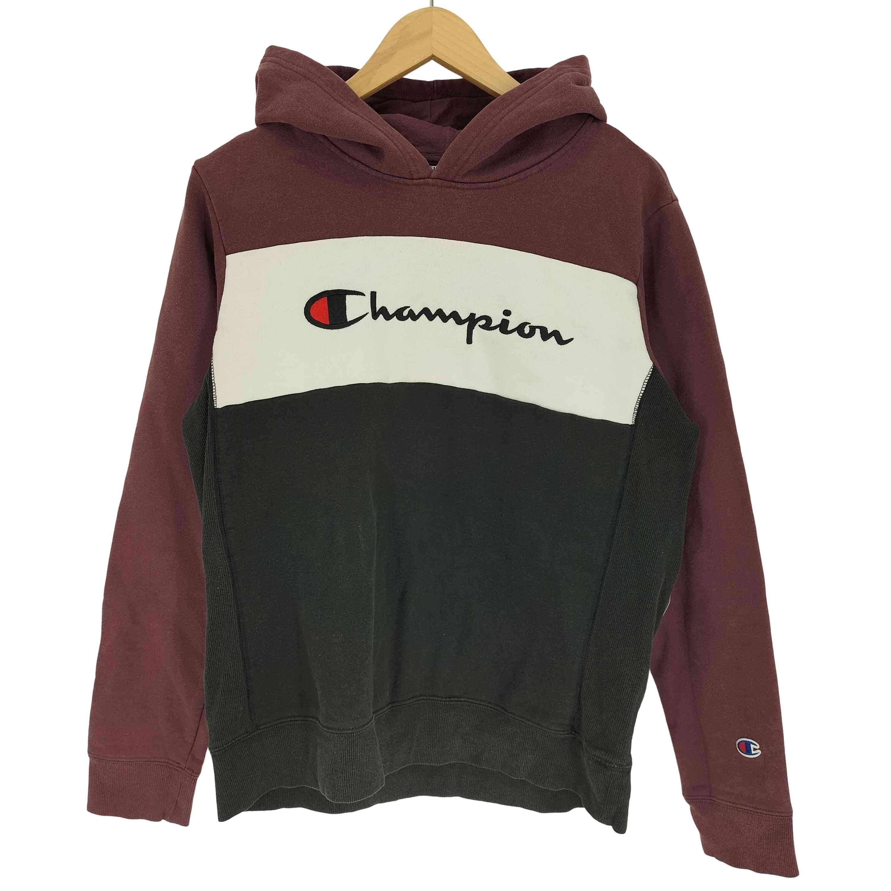 スクリプト ロゴ 刺繍 スイッチングカラー プルオーバー パーカー 袖目あり【1135773202562】