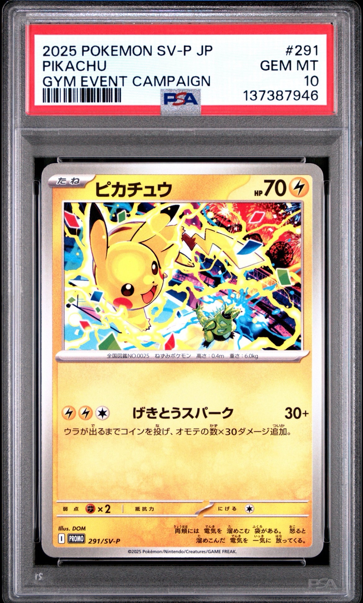 ピカチュウ P [SV-P 291]プロモーションカード「SV-P」)PSA10 PSA10】ピカチュウ P [SV-P 291](プロモーションカード「SV-P」) 1枚の
