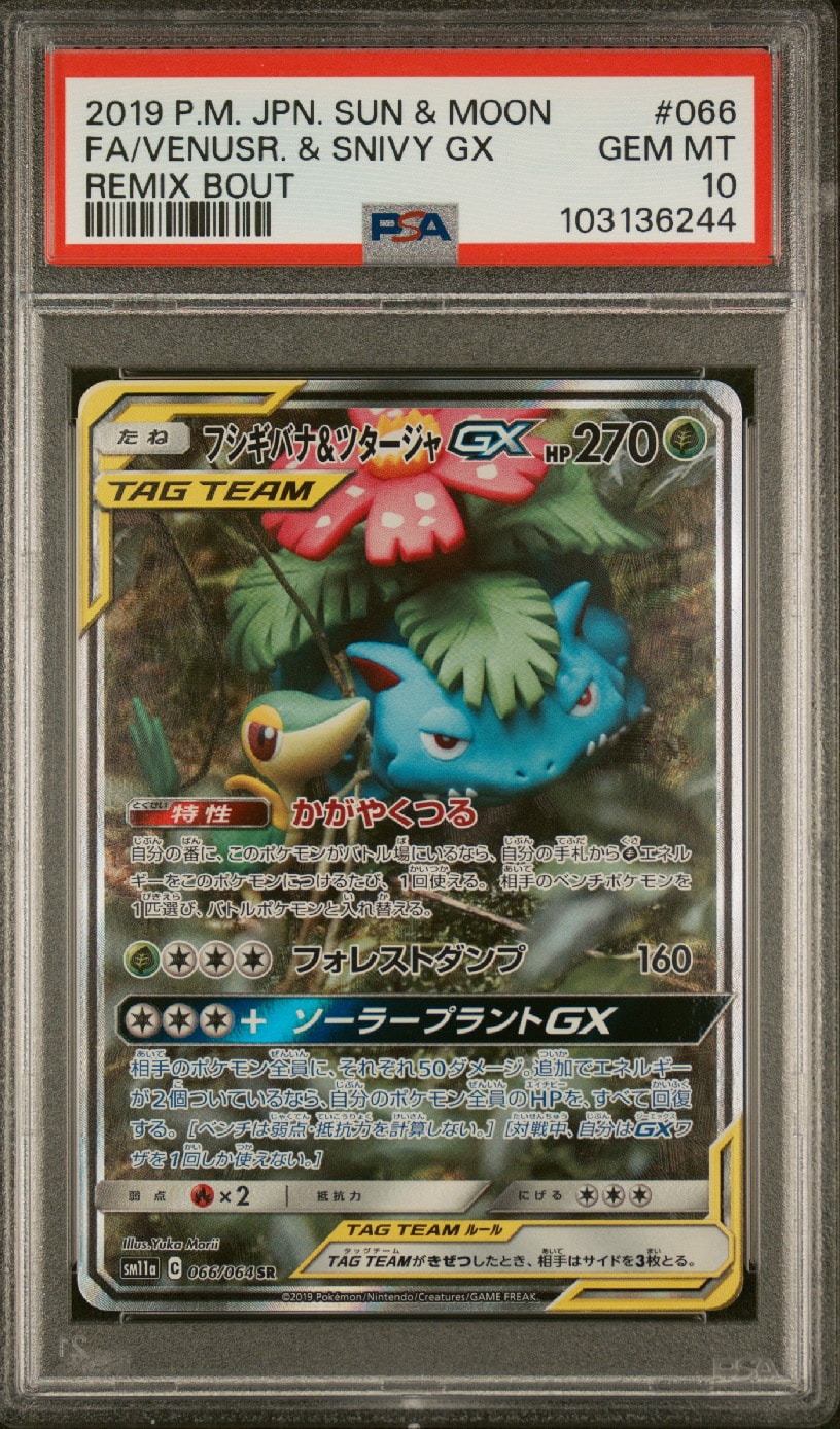PSA10】フシギバナ&ツタージャGX SR: SA[SM11a 066/064](強化拡張