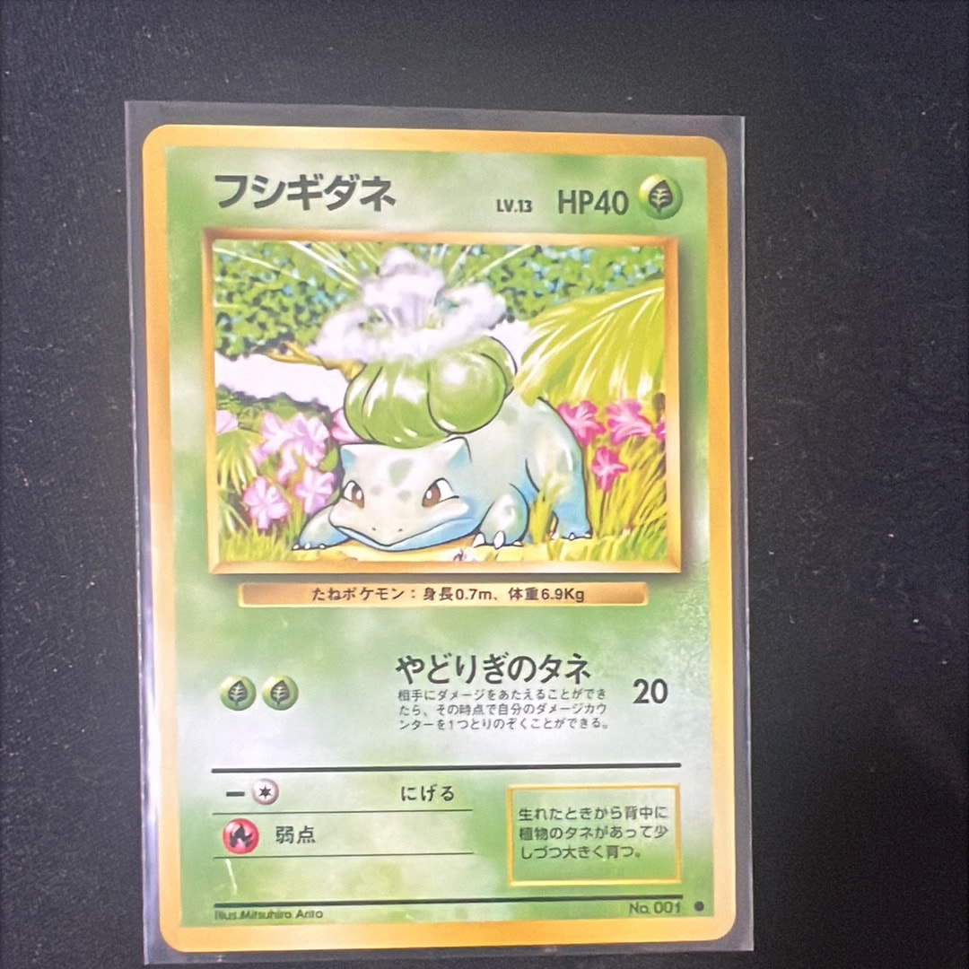 フシギダネ ● : 旧裏 [PMCG1-2](拡張パック「ポケットモンスター カードゲーム」再販)