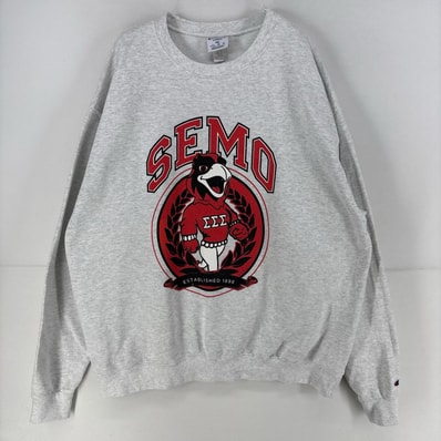 古着 チャンピオン Champion スウェット プルオーバー プリント クルーネック 大きいサイズ トレーナー 4XL グレー メンズ