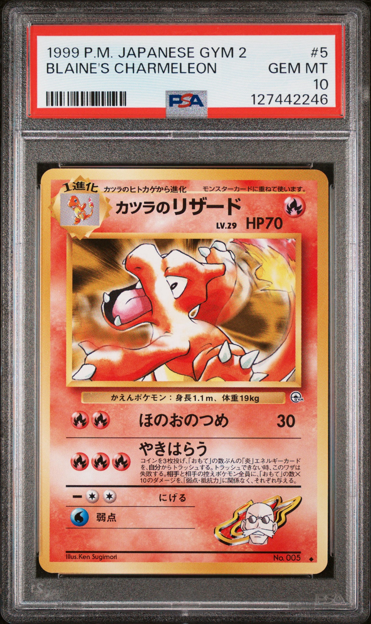 PSA9】マリル : 旧裏 [PMCG-P No.183](旧裏面 プロモーションカード