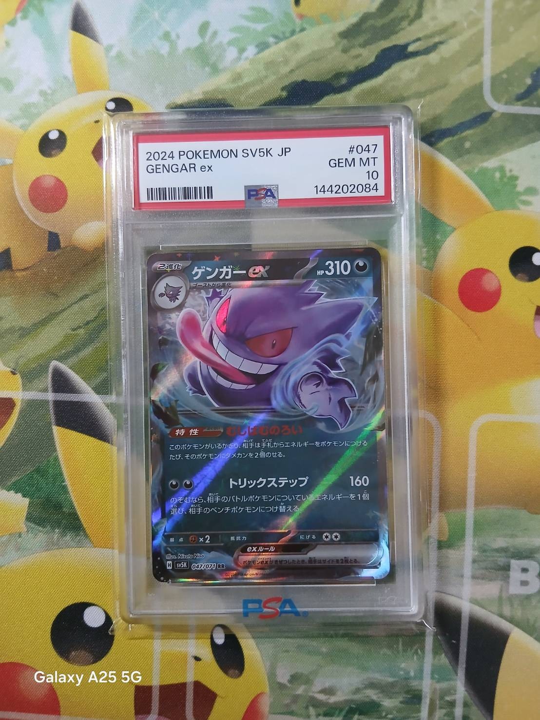 PSA10】ブラッキー: プロモ P [S-P 161](ポケモンカードゲーム ソード
