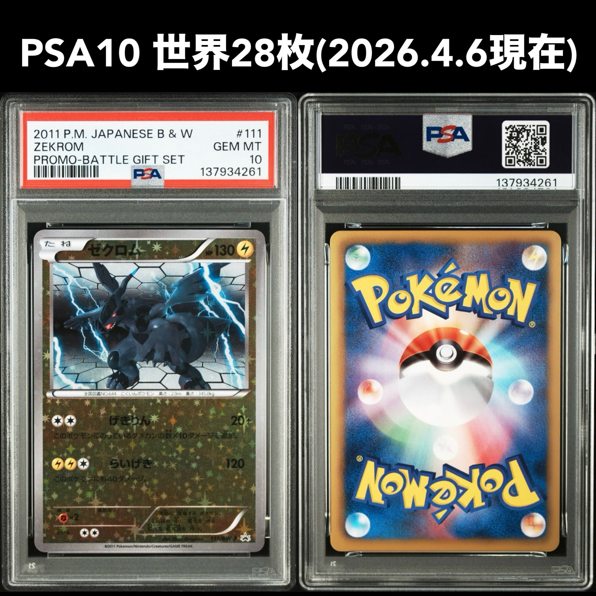 ゼクロム P [BW-P 111/BW-P](バトルギフトセット「ボルトロスVS