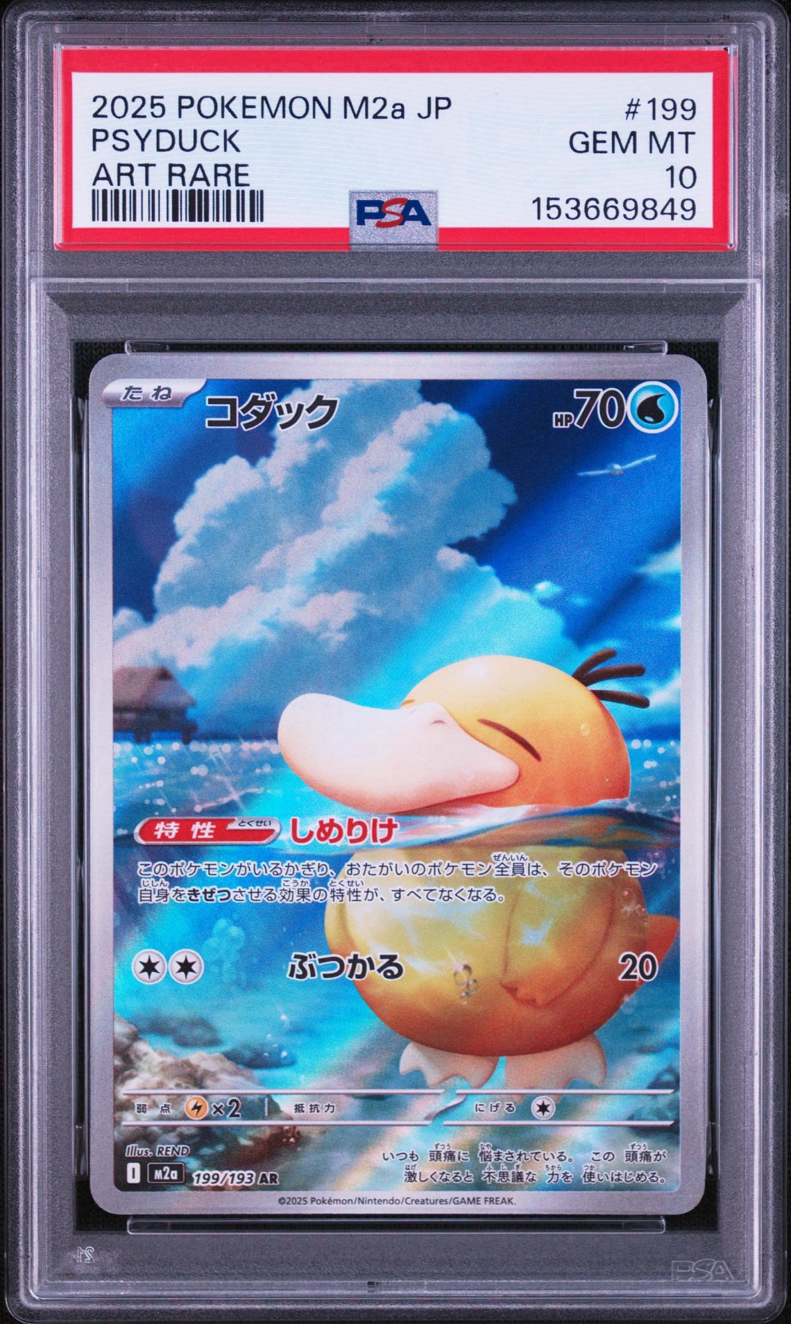 コダック AR [M2a 199/193](ハイクラスパック「MEGAドリームex」)通販