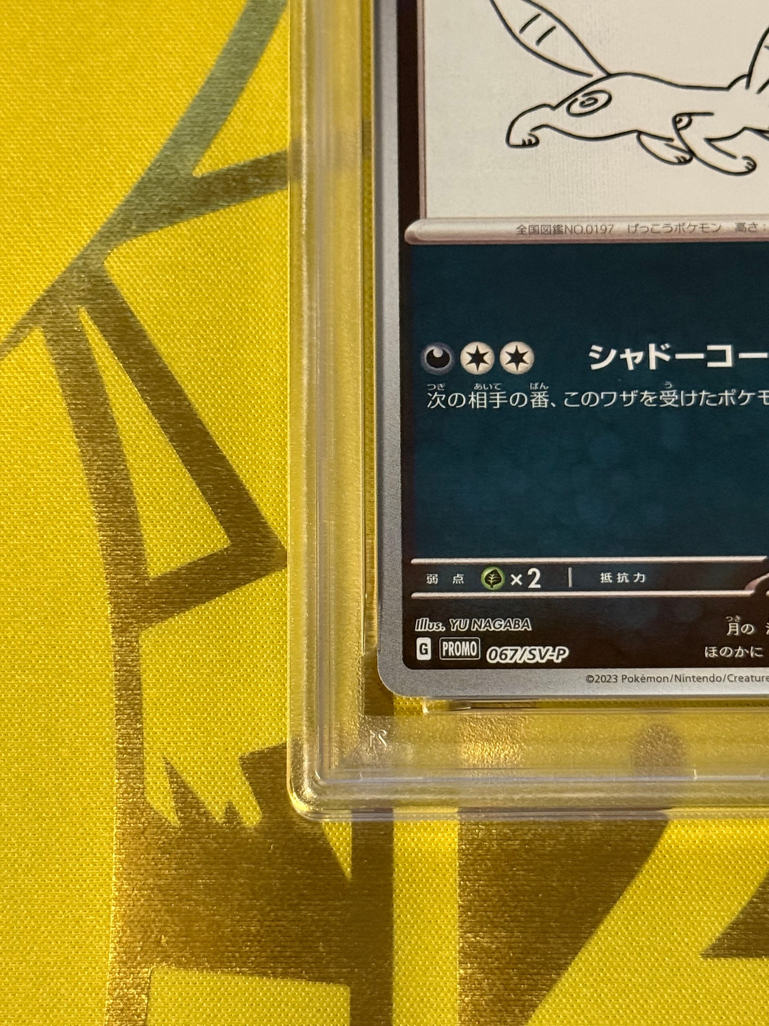 PSA10】ブラッキー: プロモ (ナガバブラッキー) [SV-P 067](「YU