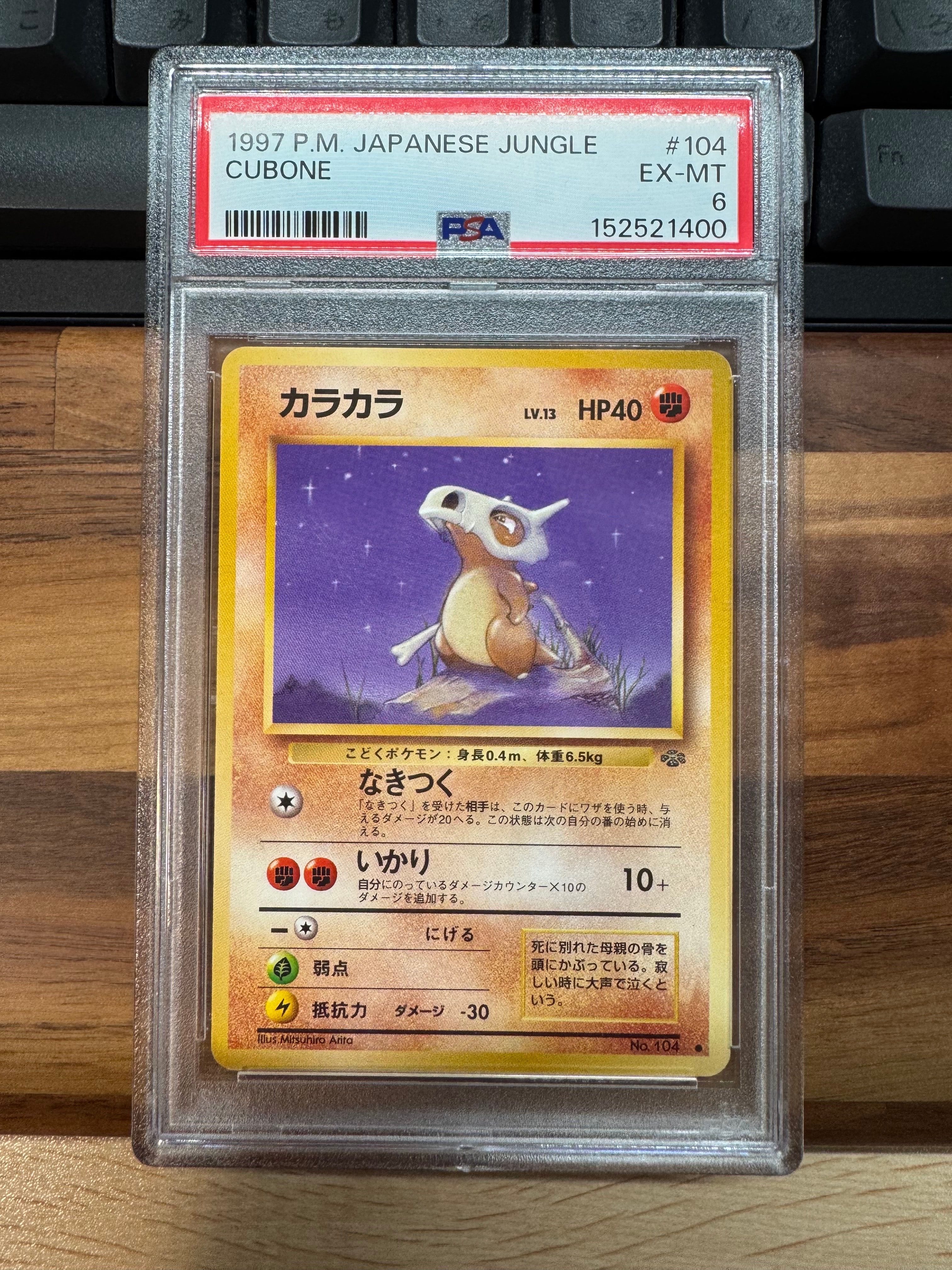 わるいカメックス ☆ :1ED [web 044/048](ポケモンカード☆web)の新品