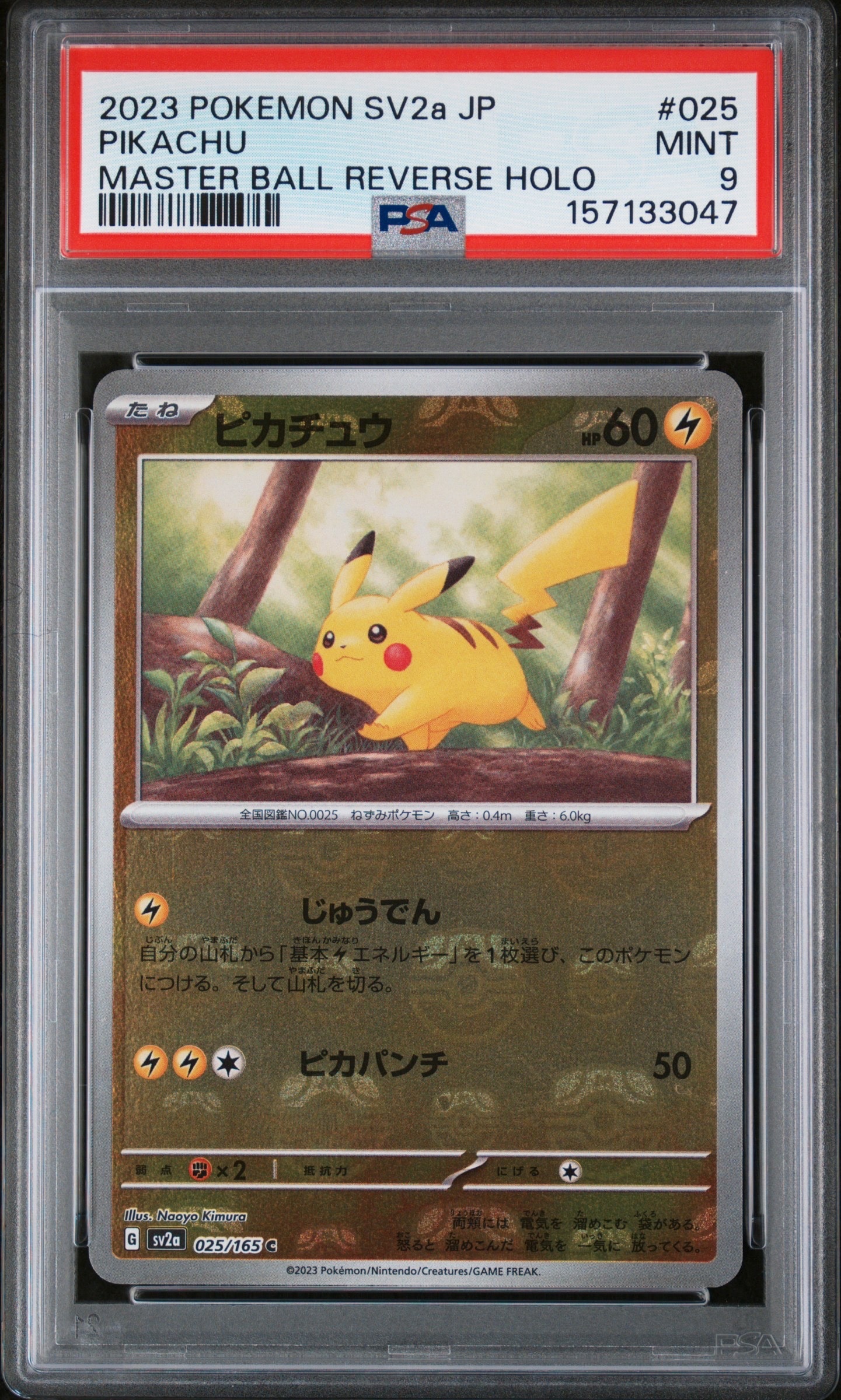 状態D】ピカチュウ C[SV2a 025/165](強化拡張パック「ポケモンカード