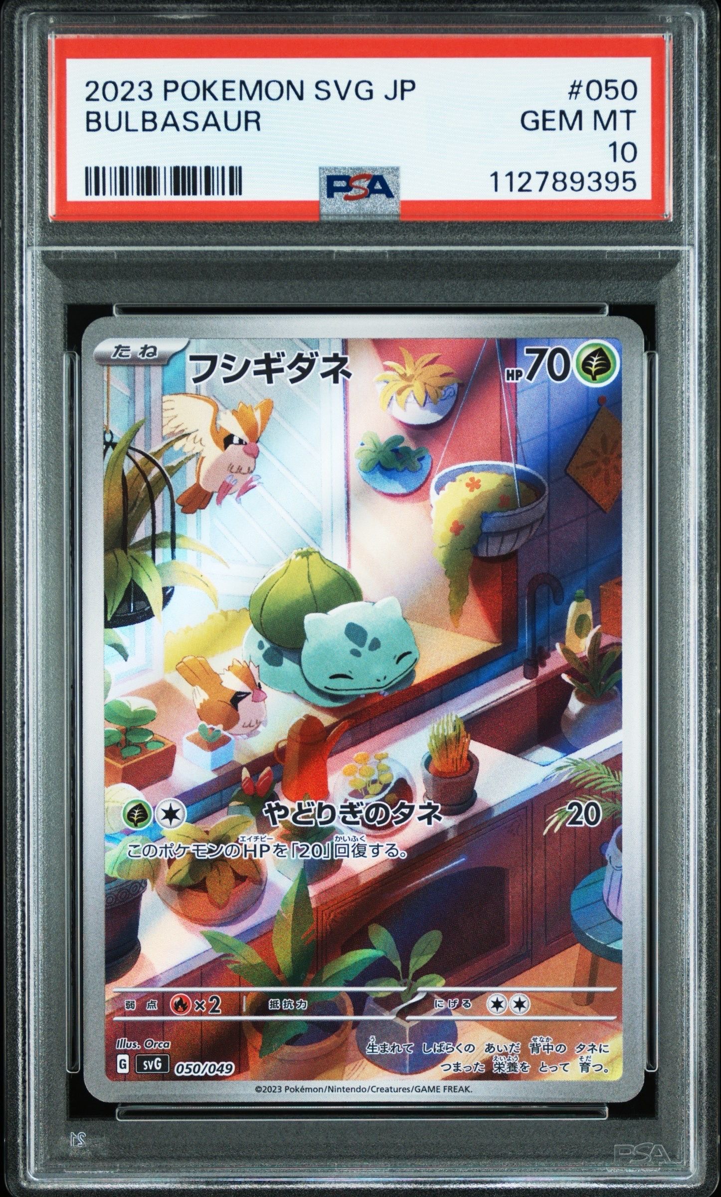 フシギダネ :フルイラスト [SVG 050/049](スペシャルデッキセットex「フシギバナ・リザードン・カメックス」)
