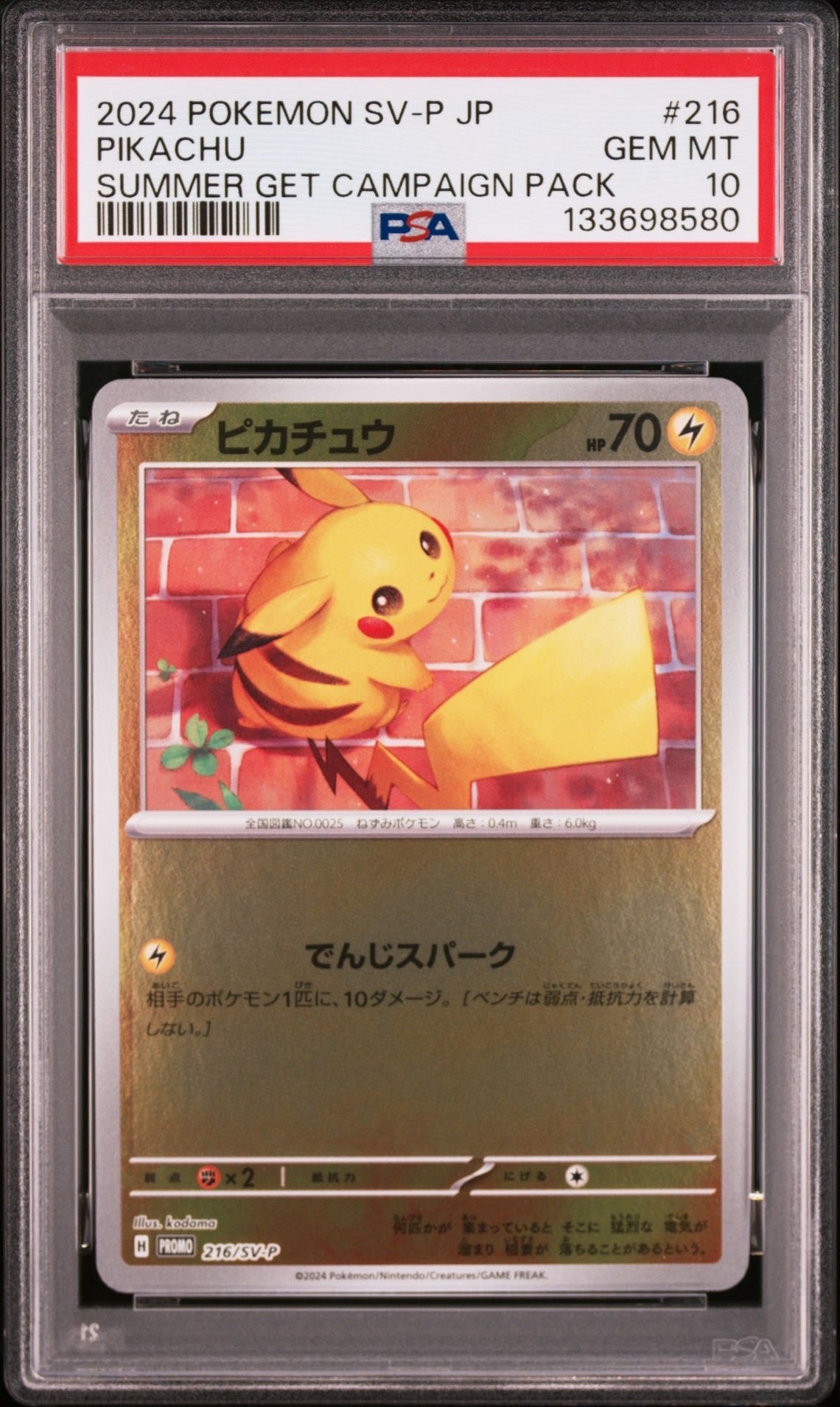 ピカチュウ P [SV-P 216](プロモカードパック「ポケカの夏がキタ!プロモカードGetキャンペーン!」)