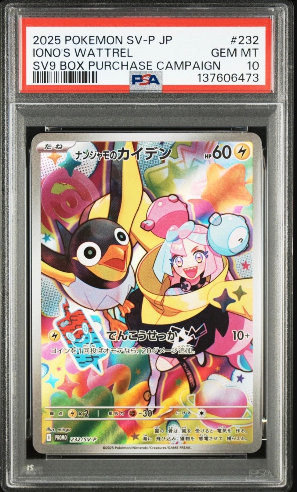 タケルライコex SAR [SV8a 222/187](ハイクラスパック「テラスタル