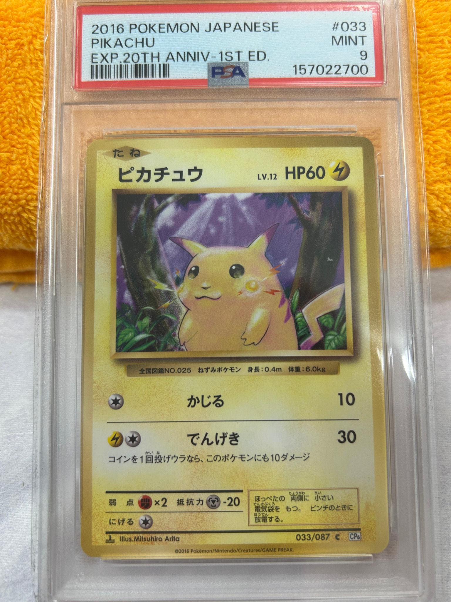 ピカチュウ C :1ED [CP6 033/087](コンセプトパック「ポケットモンスターカードゲーム 拡張パック 20th Anniversary」)