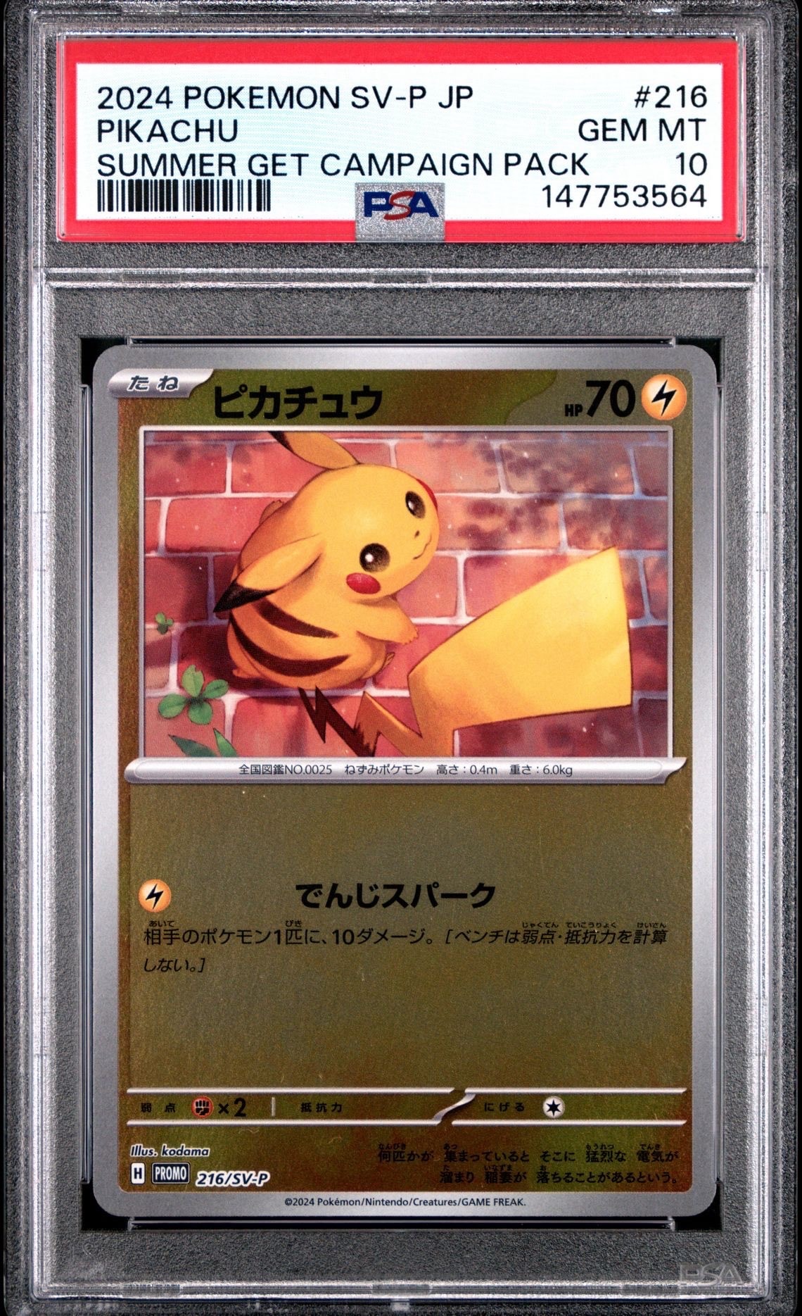 ピカチュウ P [SV-P 216](プロモカードパック「ポケカの夏がキタ!プロモカードGetキャンペーン!」)