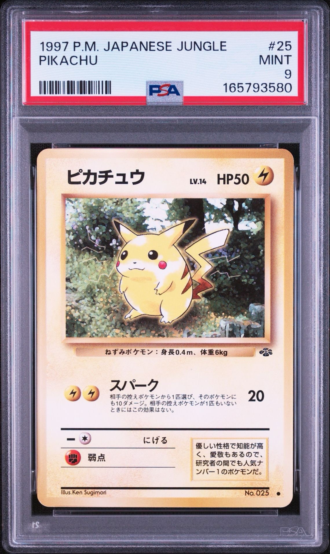 PSA8以下】ピカチュウ ○ : 旧裏 [PMCG2 No.025](拡張パック「ポケモン