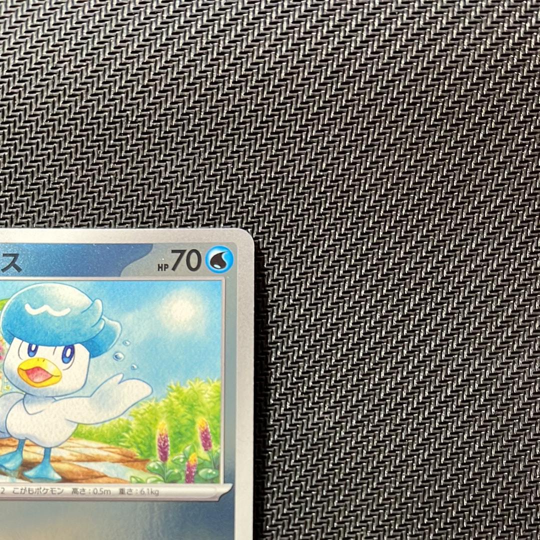 A]Quaxly P [SV-P 215](Promo Card Pack "Pokemon Card Summer is Here! Get a  Promo Card Campaign!") | SNKRDUNK