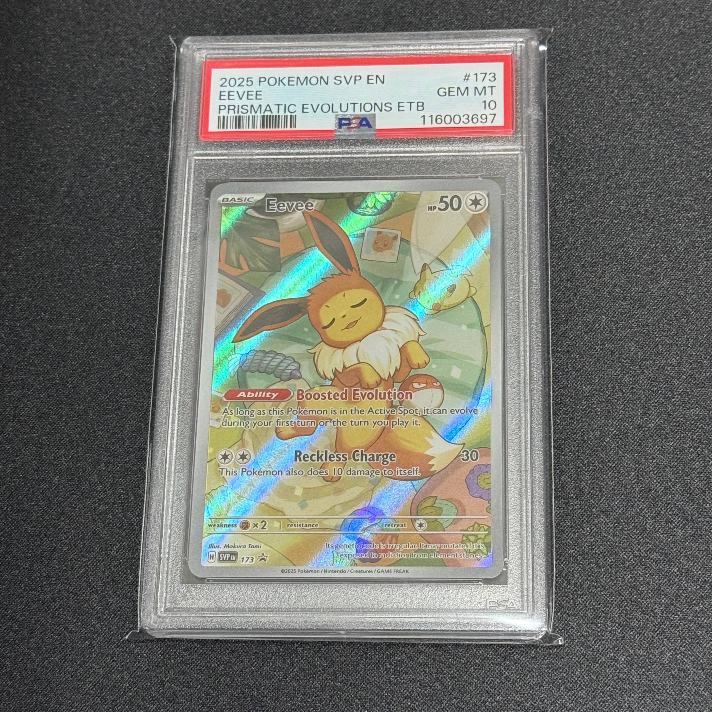 イーブイ P [SVP EN 173]【英語版】(スカーレット&バイオレット「プリズマティックエボリューションズ エリートトレーナボックス」)