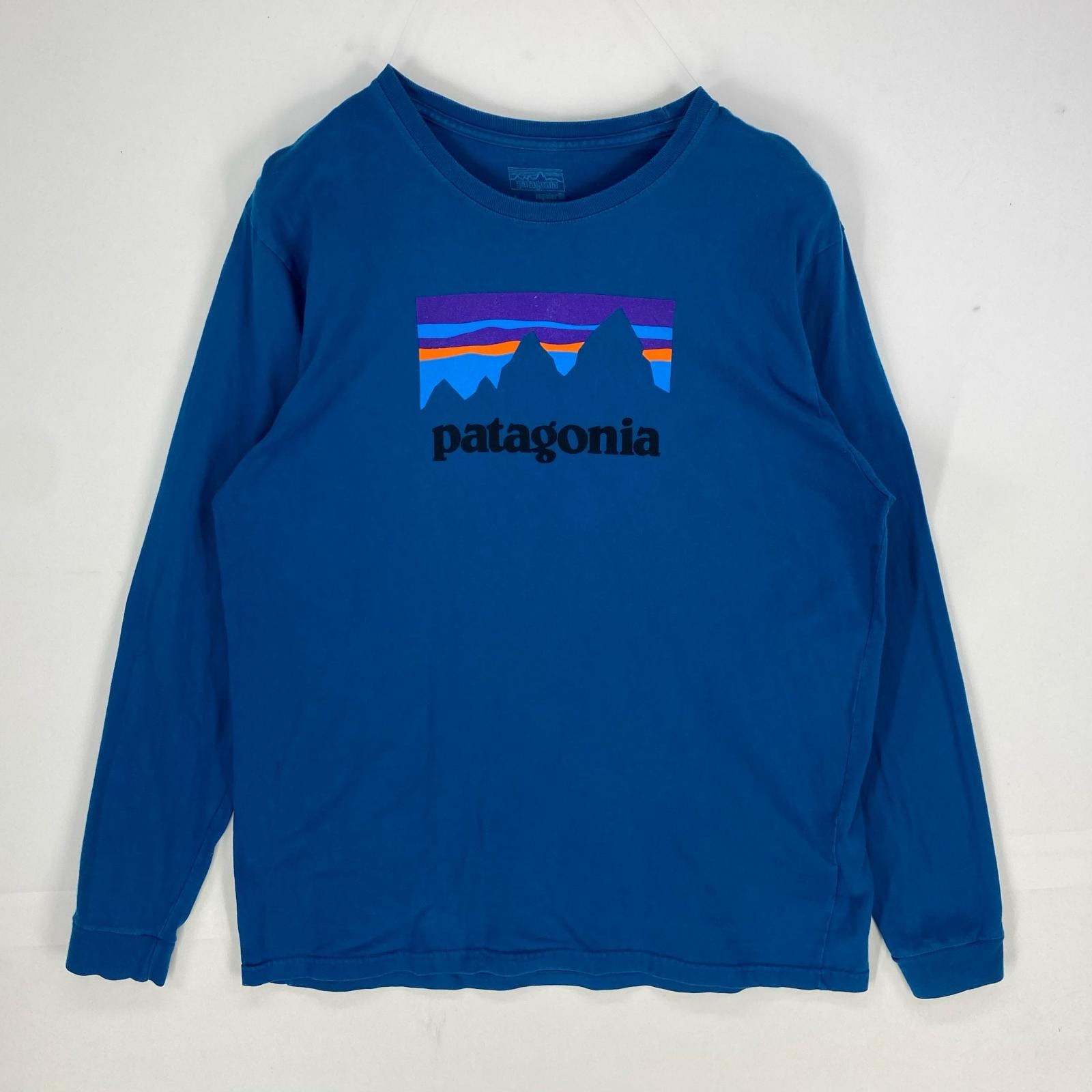 古着 パタゴニア patagonia 長袖Tシャツ クルーネック アウトドア ロングスリーブ L ブルー系 プリント メンズ