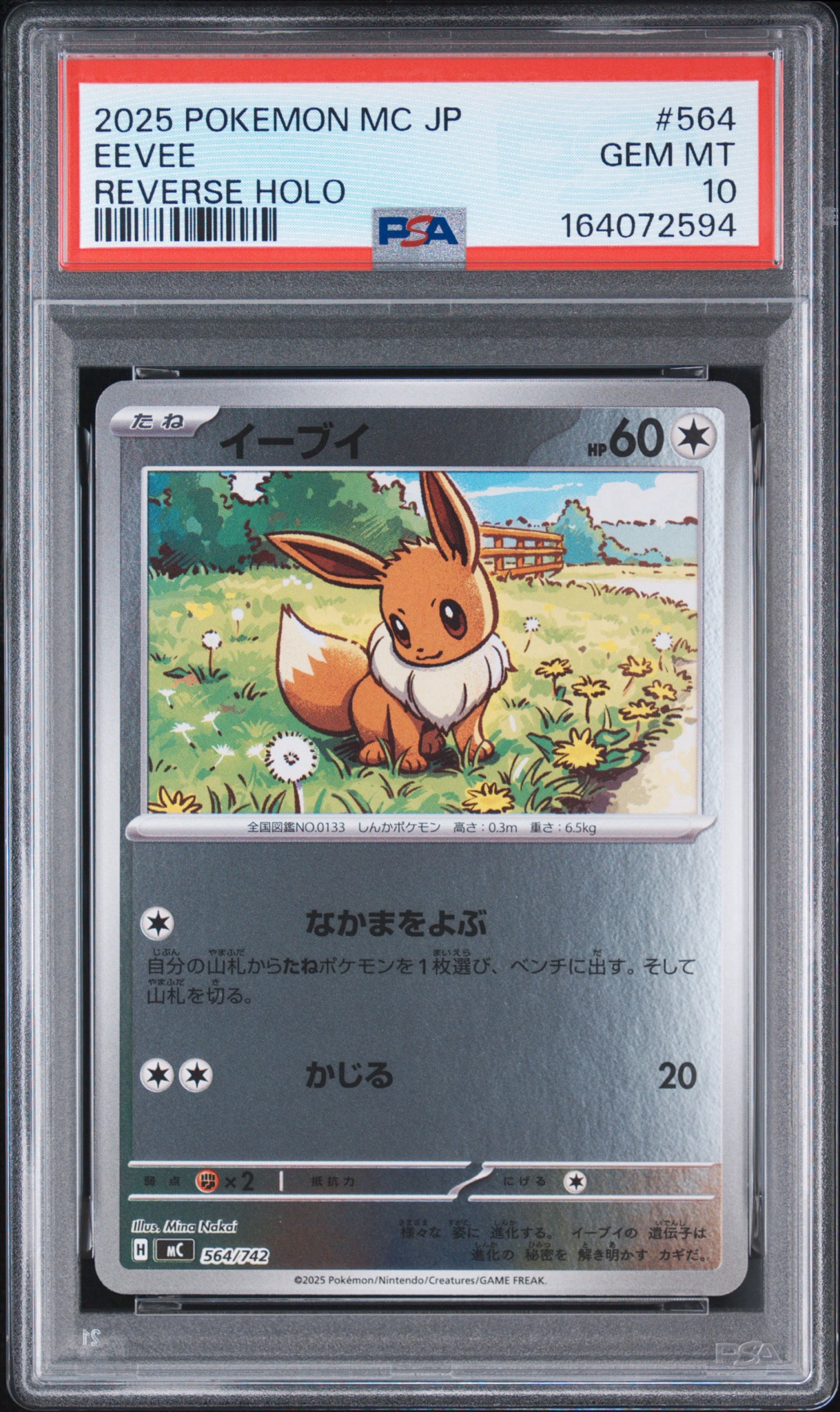 イーブイ :ミラー [MC 564/742](スタートデッキ100「バトルコレクション」)