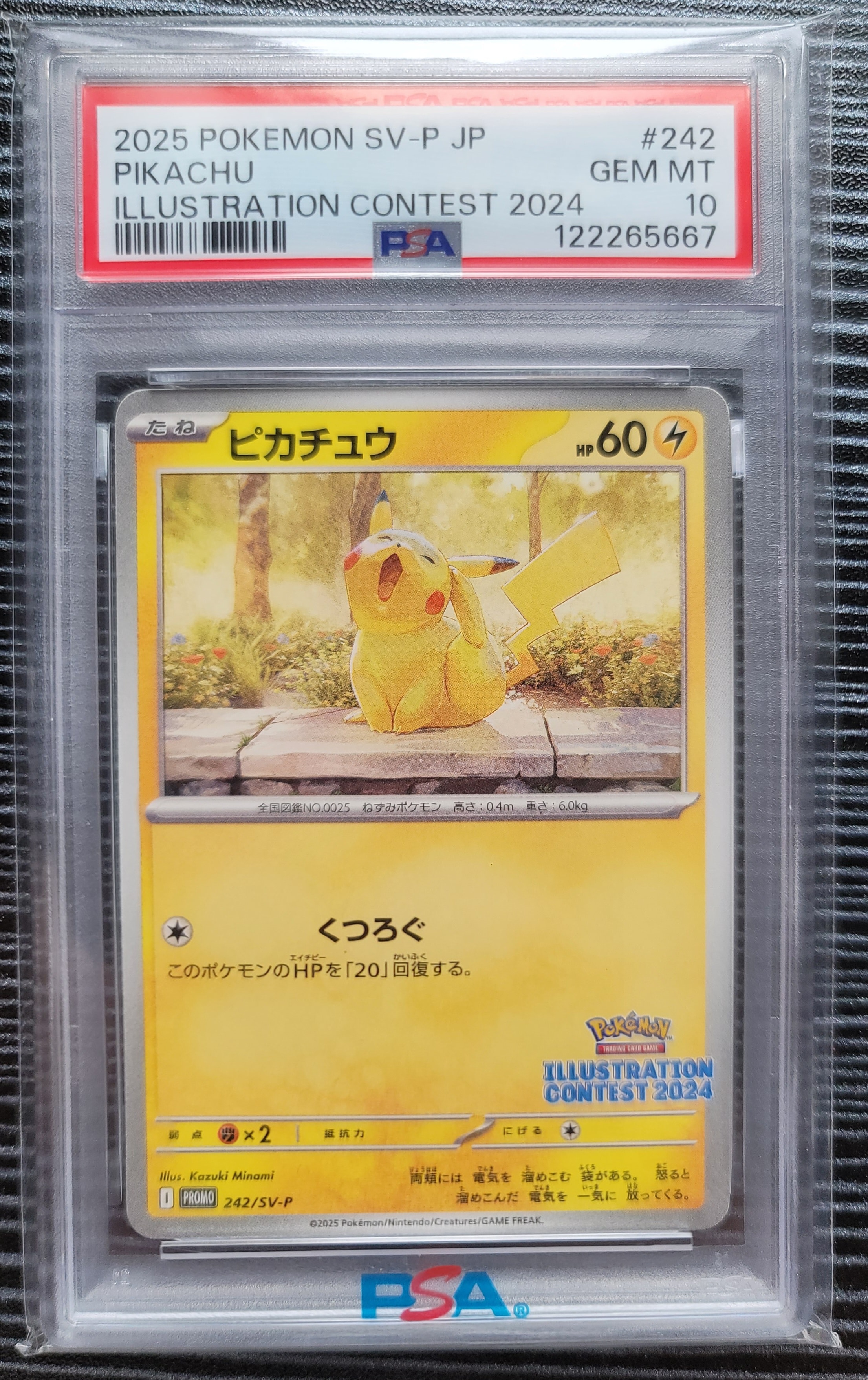 ピカチュウ [SV-P 242](プロモカードパック「イラストレーション
