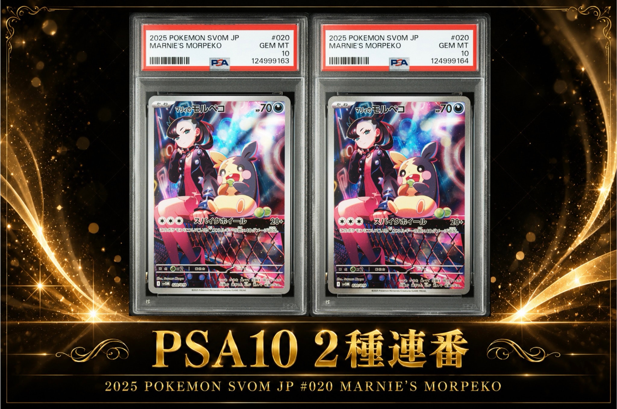 マリィのモルペコ [SVOM 020/019](スターターセットex「マリィの