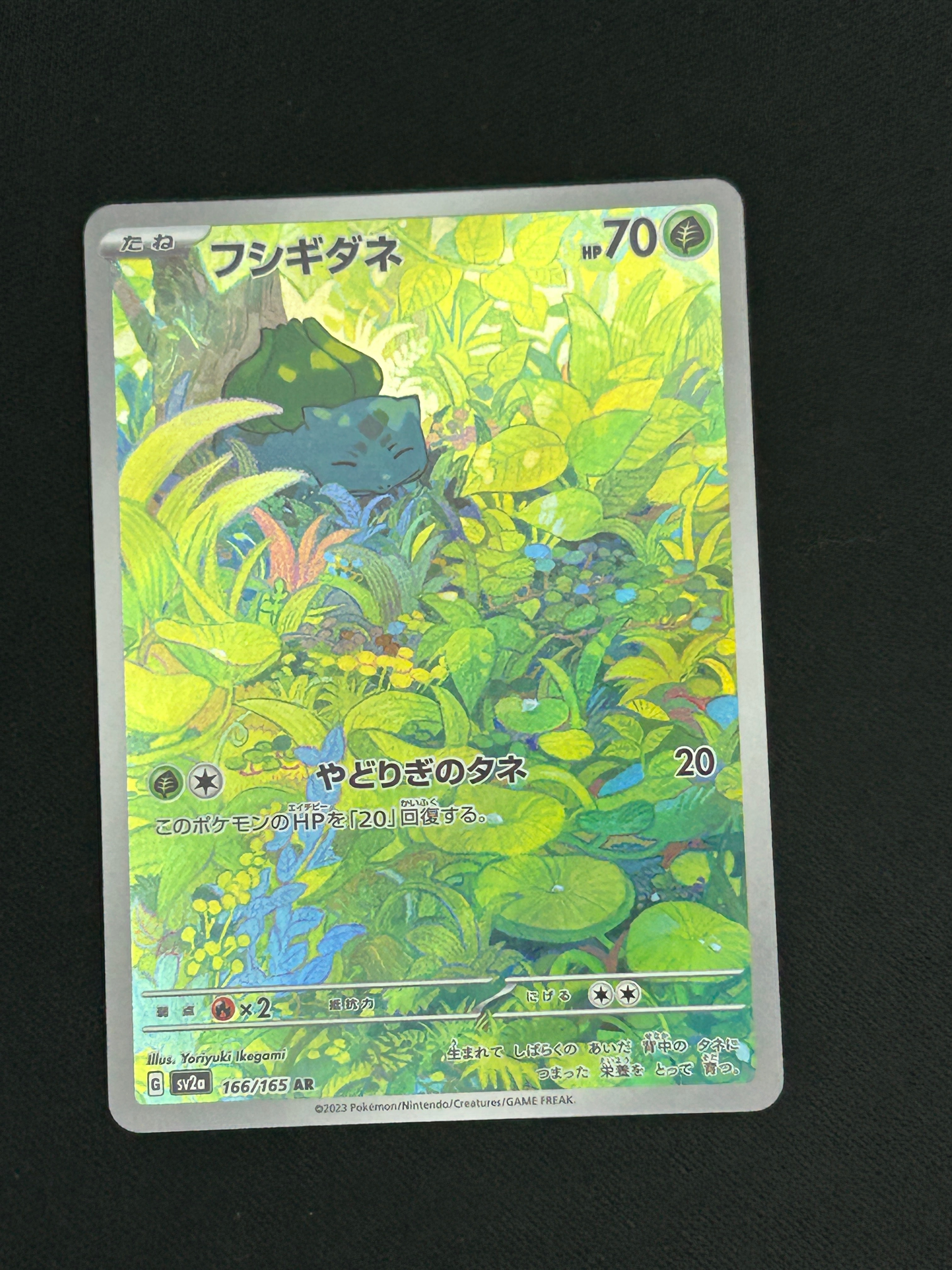 レックウザ イラストコレクション: プロモ[XY-P 100/XY-P