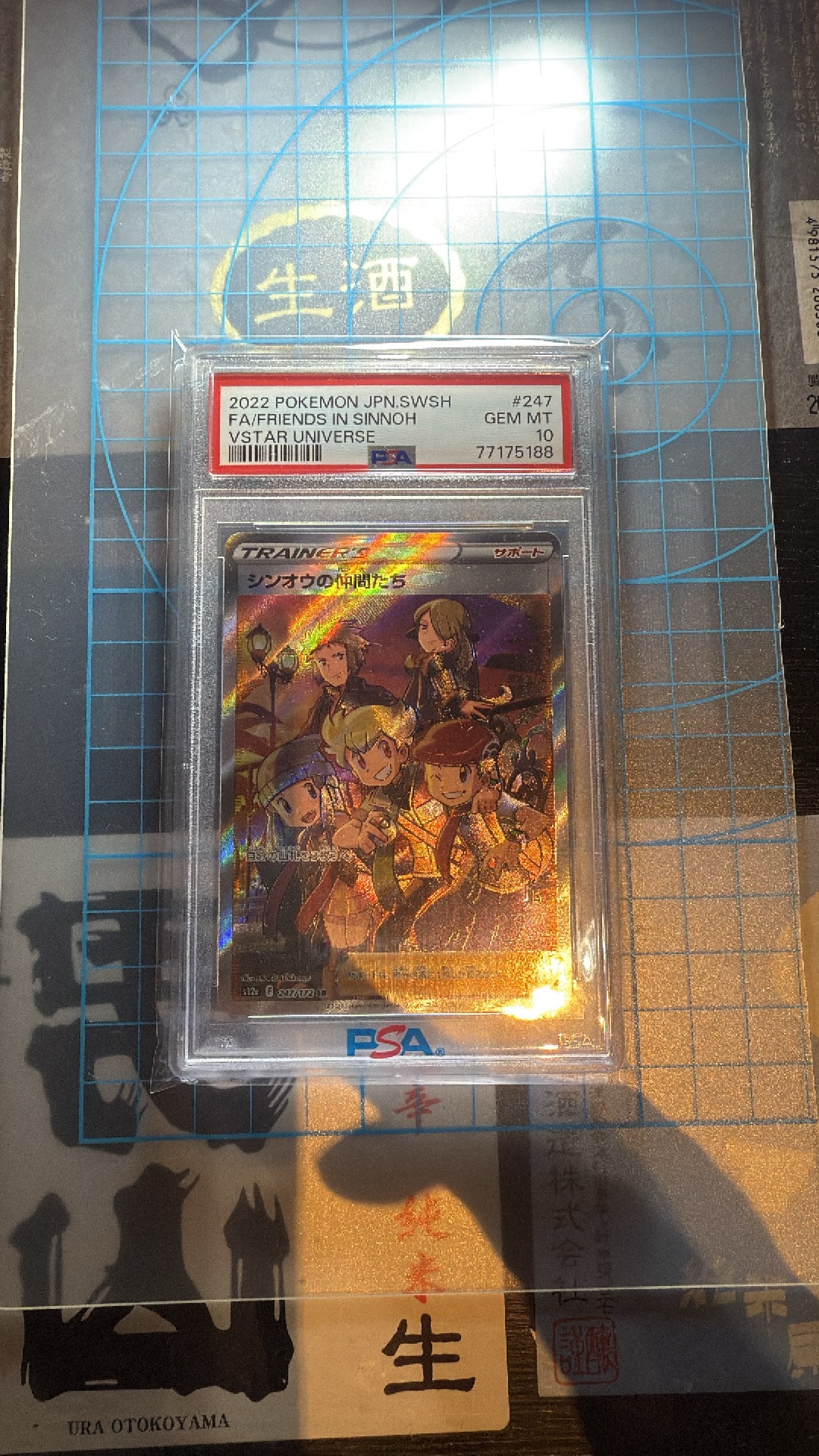 PSA10】シンオウの仲間たち SR[s12a 247/172](ハイクラスパック「VSTAR