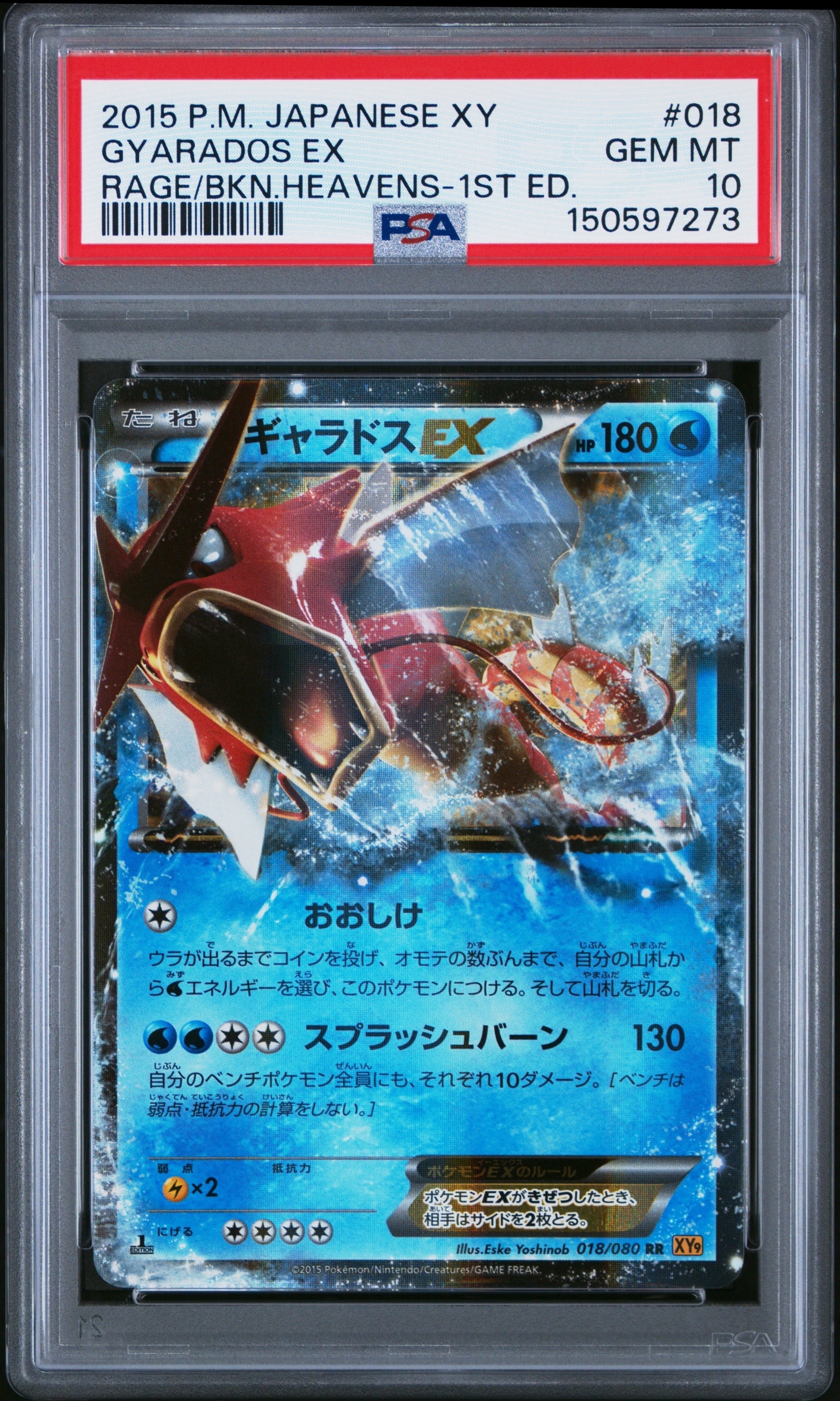 PSA10】フウロ: プロモ[XY-P 164/XY-P](プロモーションカード「XY-P