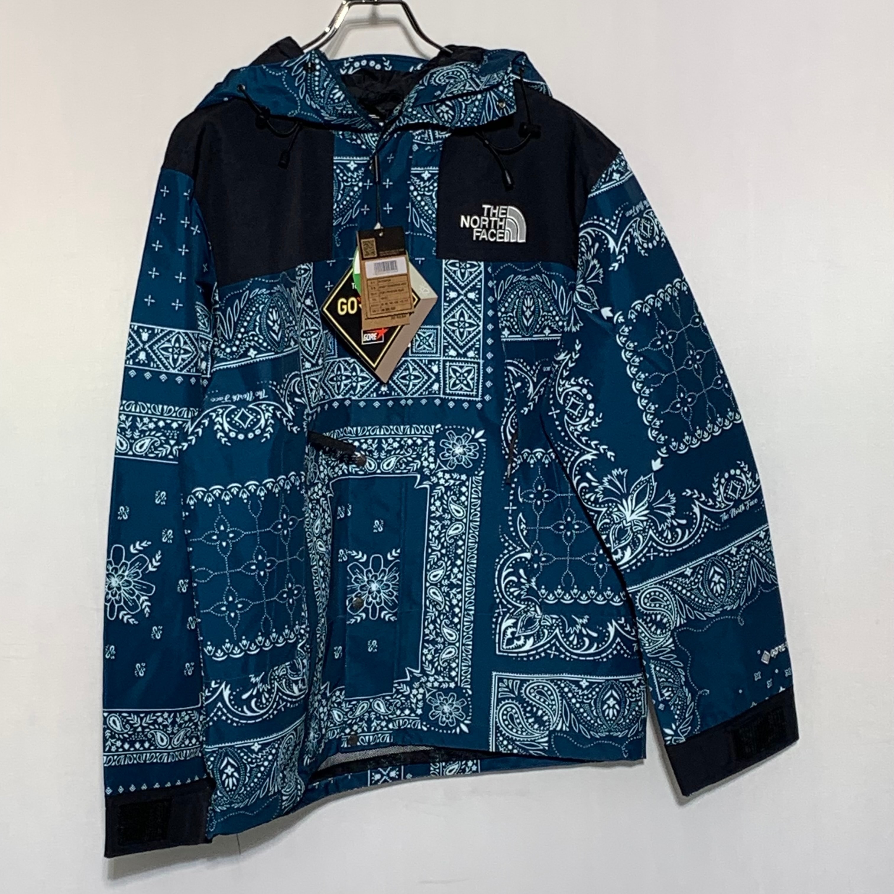 The North Face NOVELTY GTX MOUNTAIN JACKET "Peacock Blue"