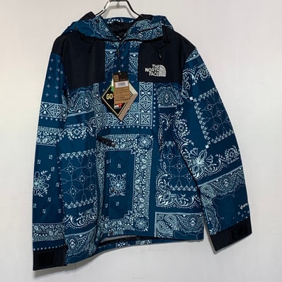 The North Face NOVELTY GTX MOUNTAIN JACKET "Peacock Blue"