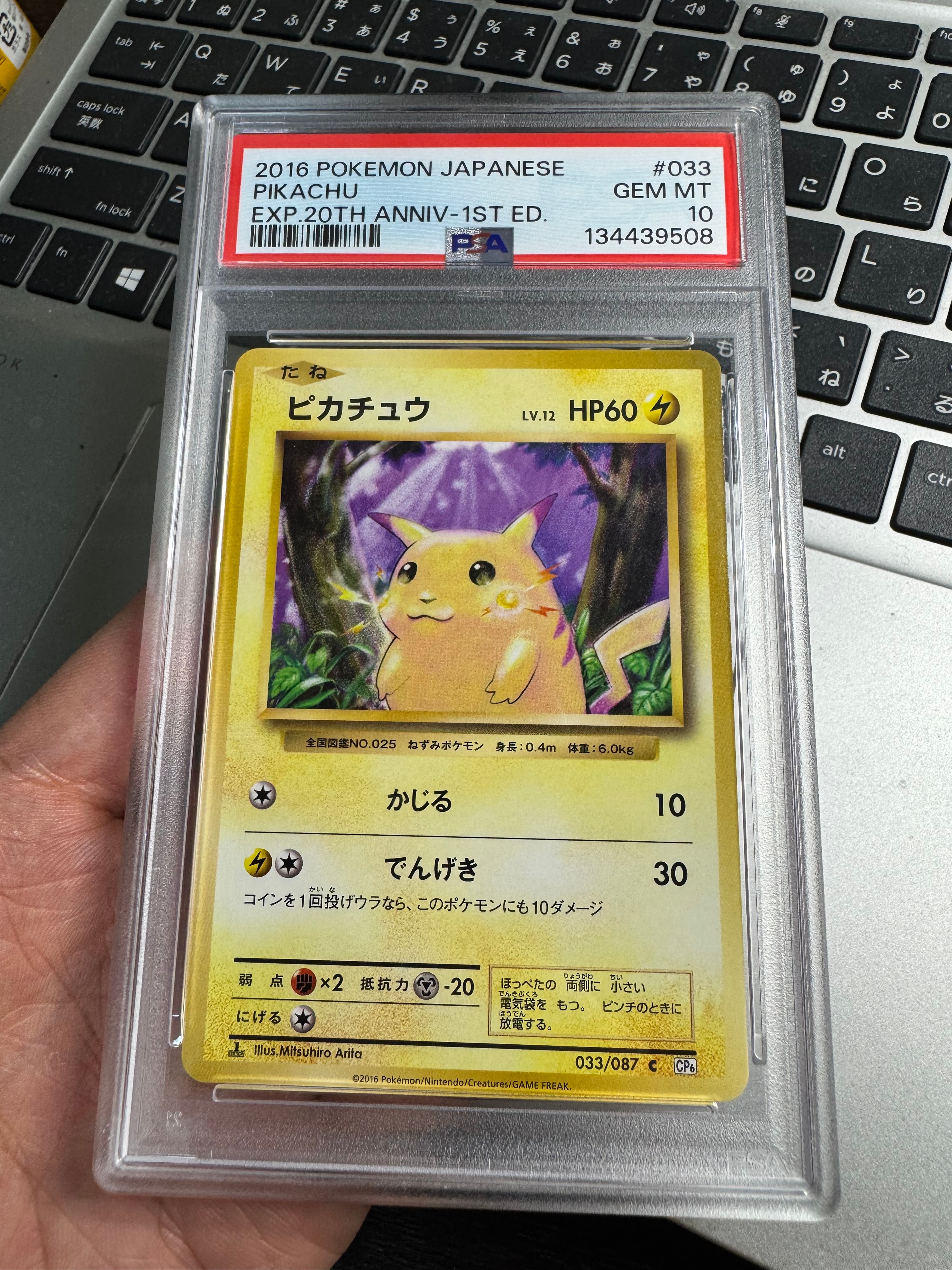 ピカチュウ C :1ED [CP6 033/087](コンセプトパック「ポケットモンスターカードゲーム 拡張パック 20th Anniversary」)