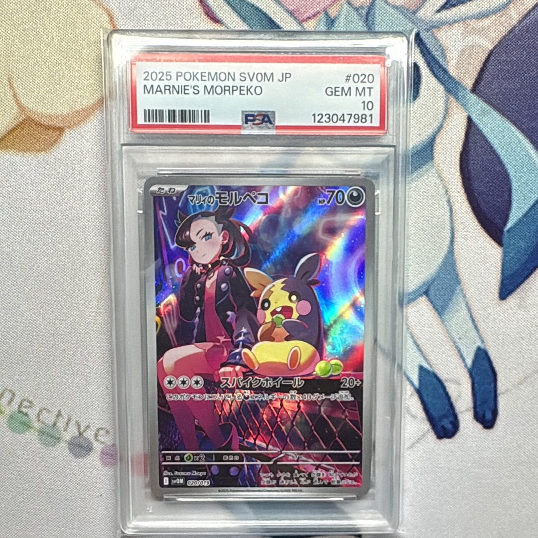 マリィのモルペコ [SVOM 020/019](スターターセットex「マリィのモルペコ＆オーロンゲex」)