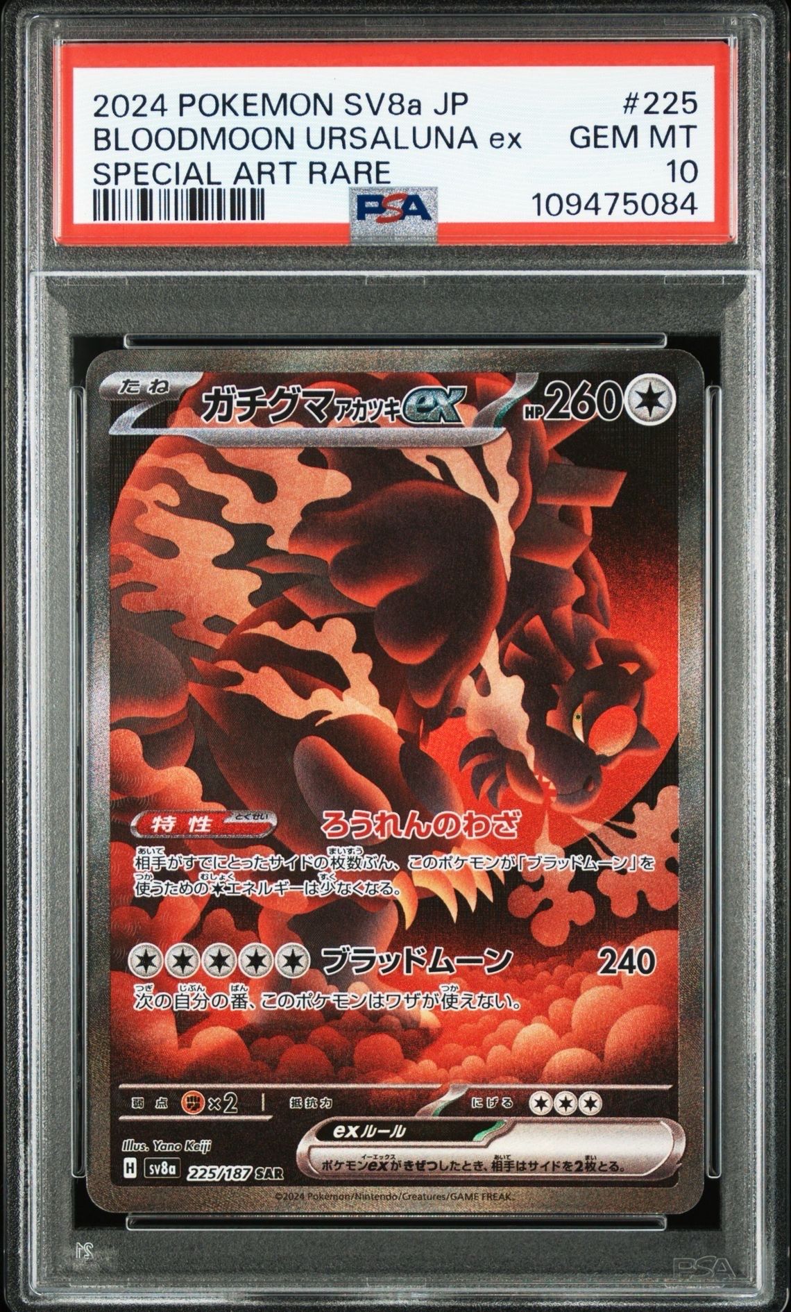ガチグマ アカツキex SAR [SV8a 225/187](ハイクラスパック「テラスタルフェスex」)