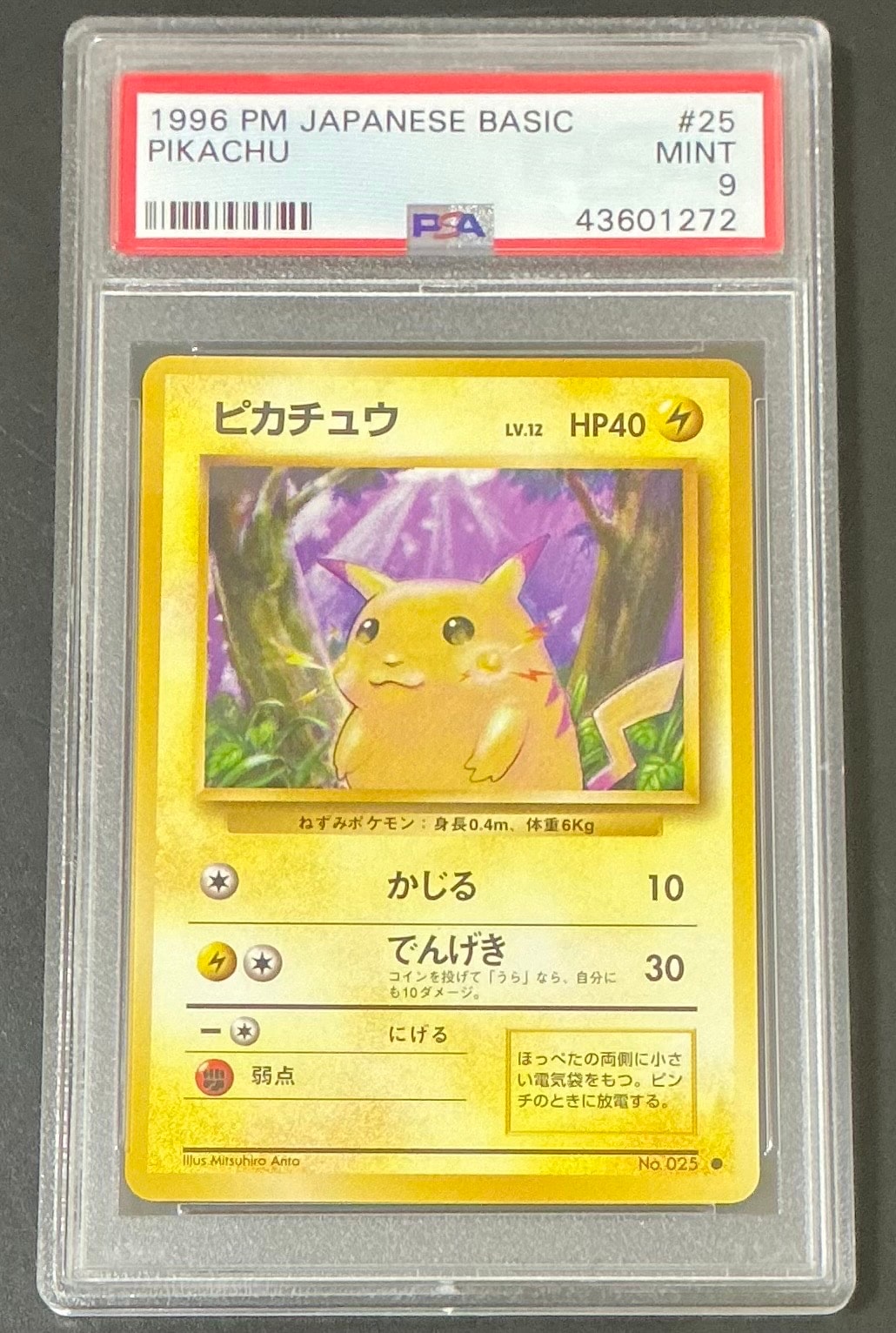 ピカチュウ ● : 旧裏 [PMCG1-2](拡張パック「ポケットモンスター カードゲーム」再販)