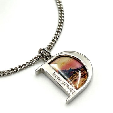 【希少・未使用】ディオール DIOR メンズ ネックレス ペンダント シオンの山