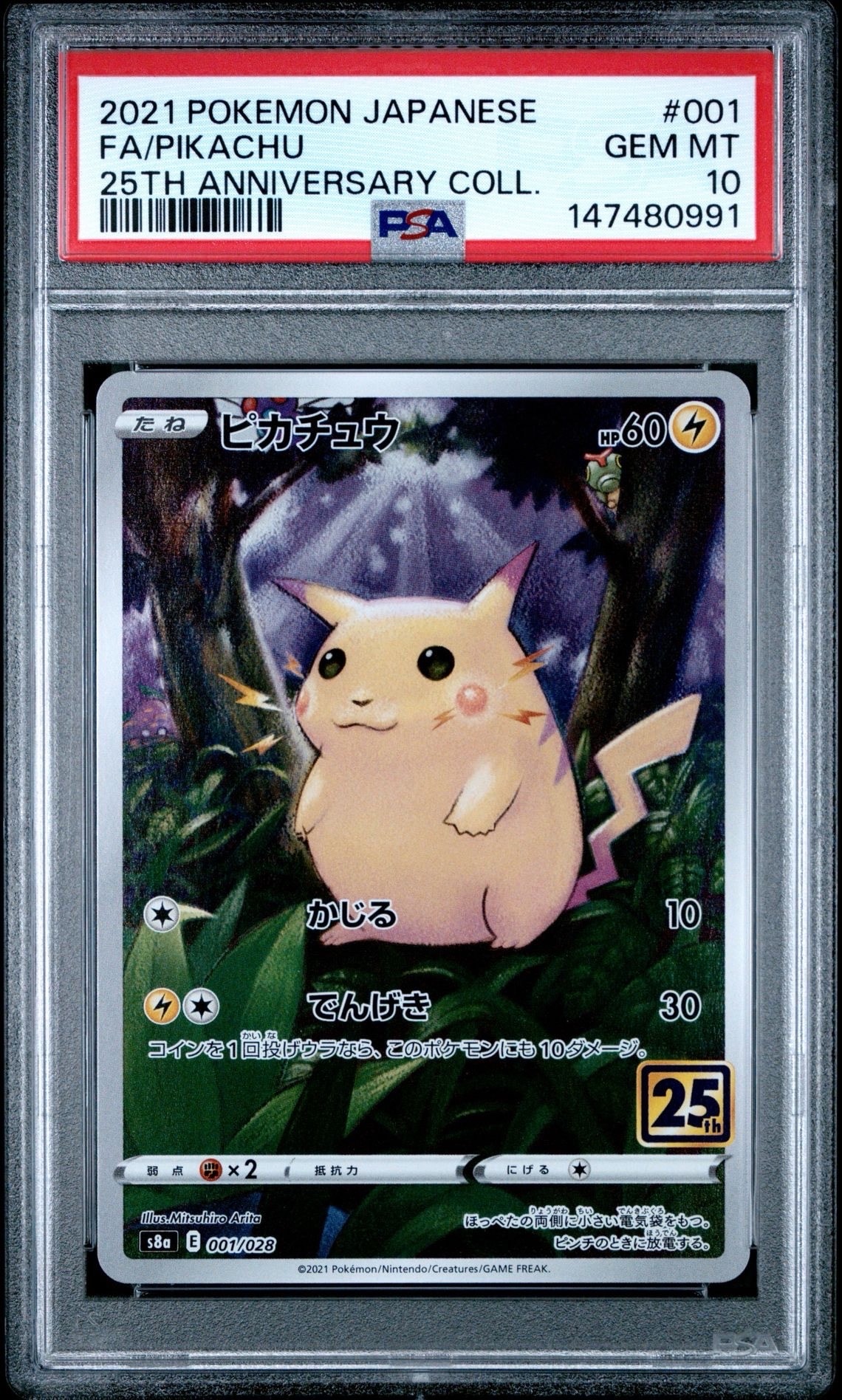 PSA10 ピカチュウv 019/053 いつでもどこでもファミリーポケモン ピカチュウV :ノーマル仕様 [SH 019/053](「いつでもどこでも