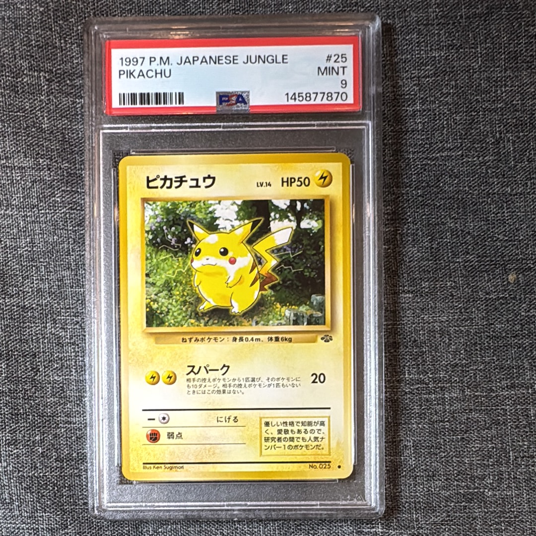 ピカチュウ ● : 旧裏 [PMCG2 No.025](拡張パック「ポケモンジャングル」)