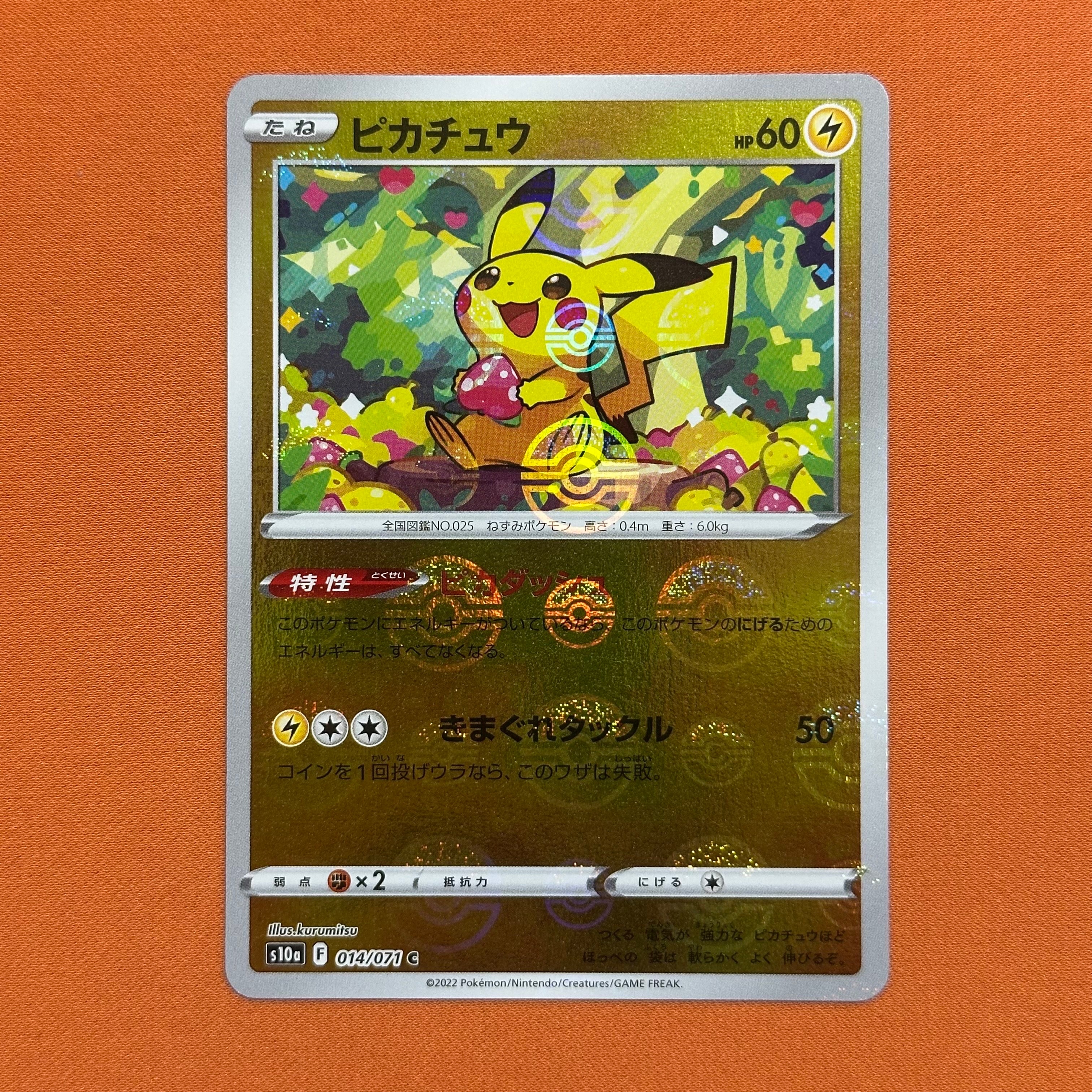 リザードンEX: プロモ(アートコレクション)[XY-P 276/XY-P