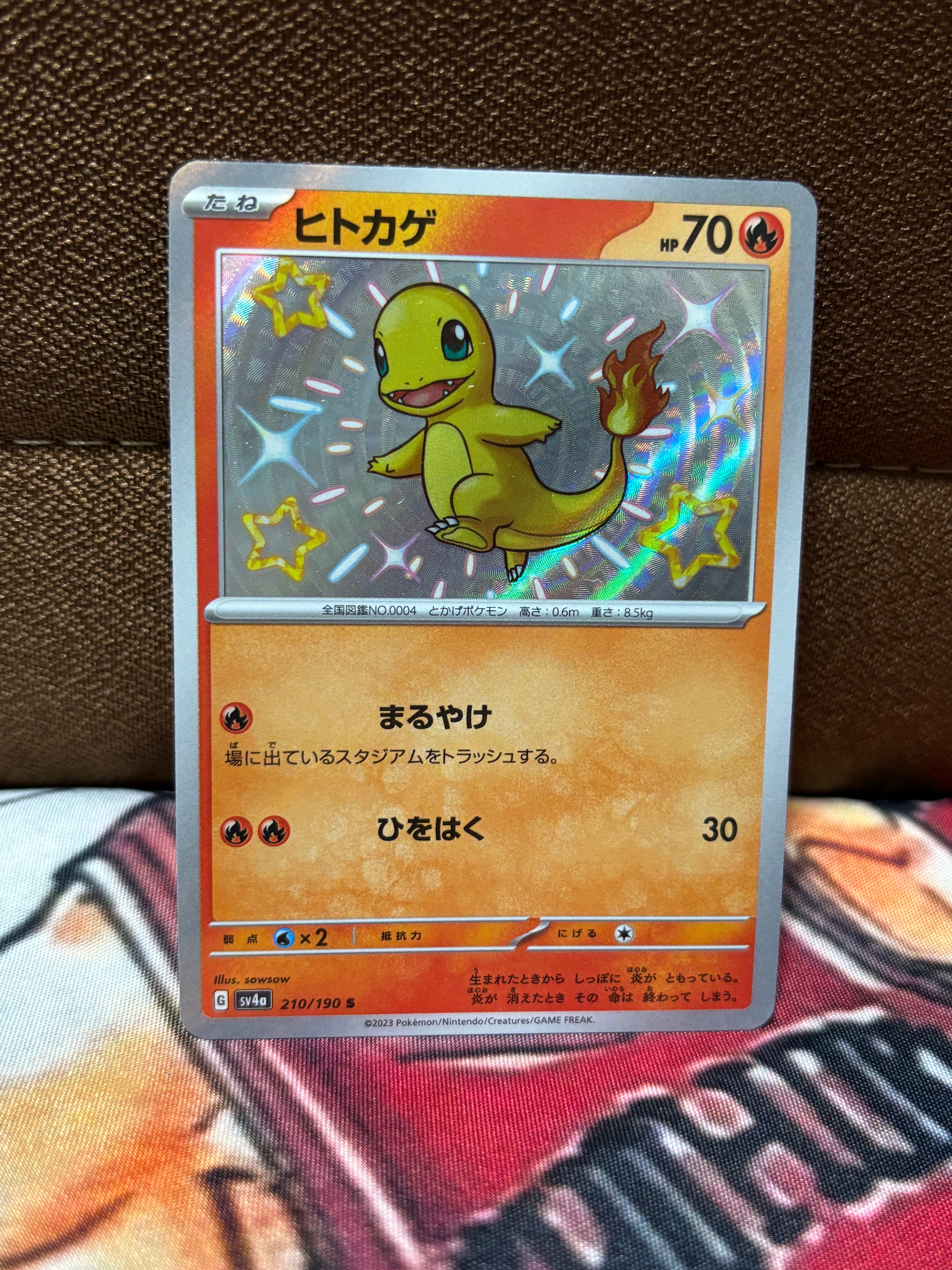 PSA10】ヒトカゲ S[SV4a 210/190](ハイクラスパック「シャイニー