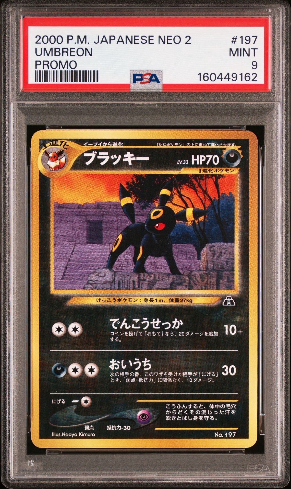 PSA8以下】ブラッキープレミアムファイル2: 旧裏[neoP2 No.197