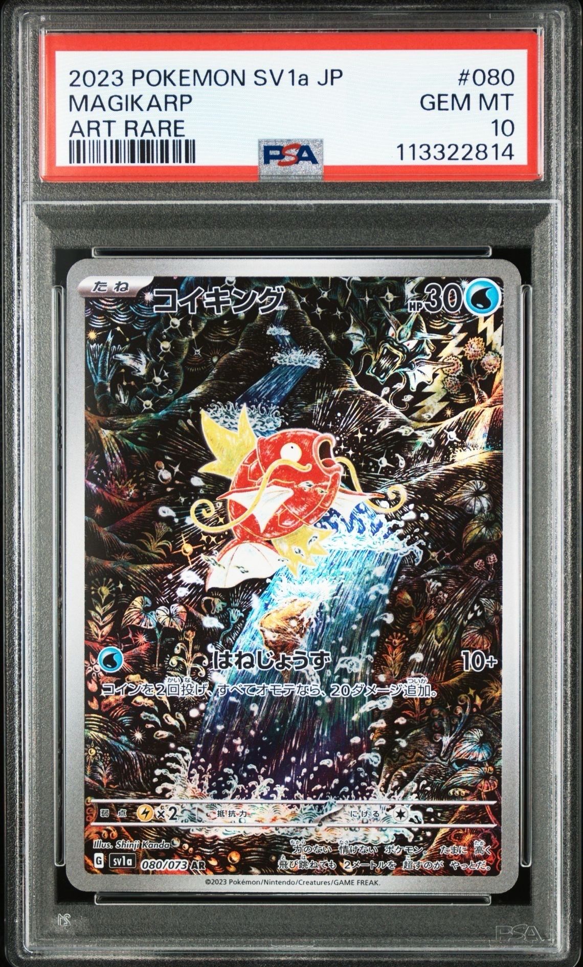 コイキング AR[SV1a 080/073](スカーレット&バイオレット 拡張パック「トリプレットビート」)