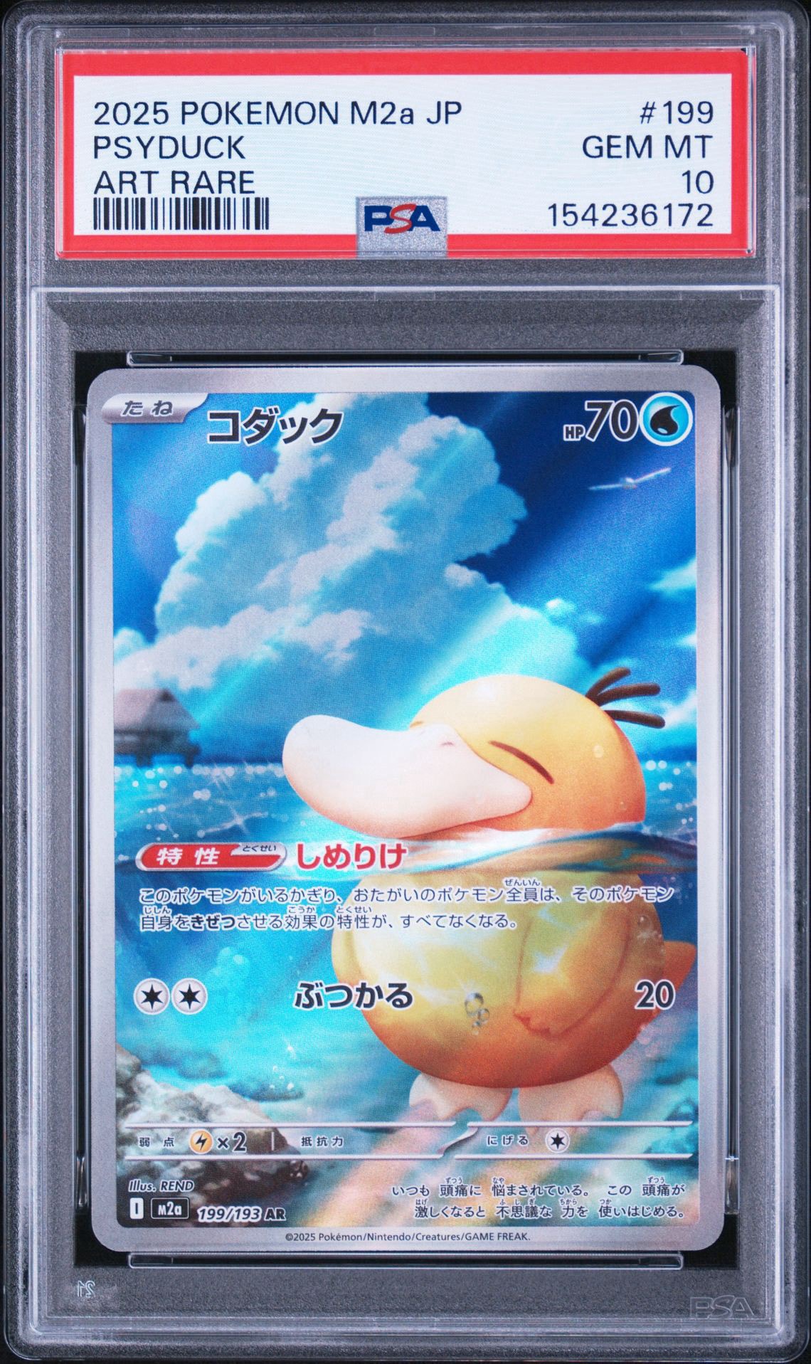 コダック AR [M2a 199/193](ハイクラスパック「MEGAドリームex」)