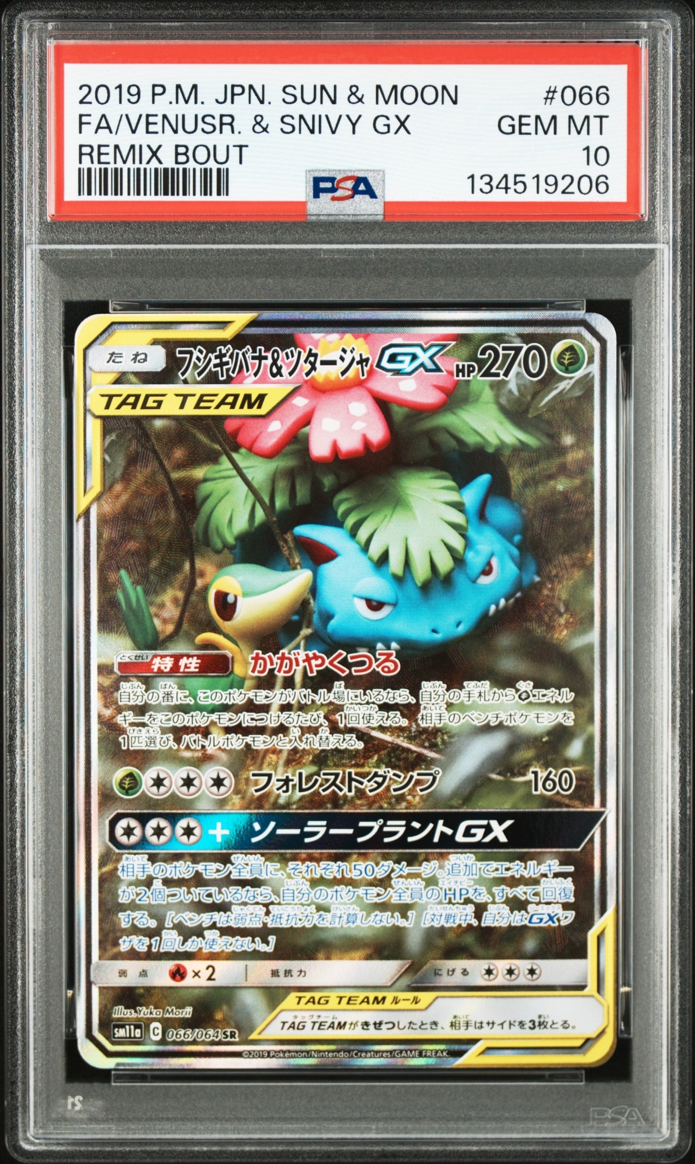 フシギバナ＆ツタージャGX 066/064 SR フシギバナ&ツタージャGX SR: SA[SM11a 066/064](強化拡張パック