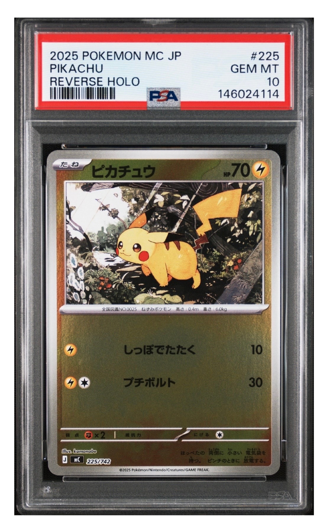 グラードンEX R [BW3 032/052](拡張パック「ヘイルブリザード」)の新品
