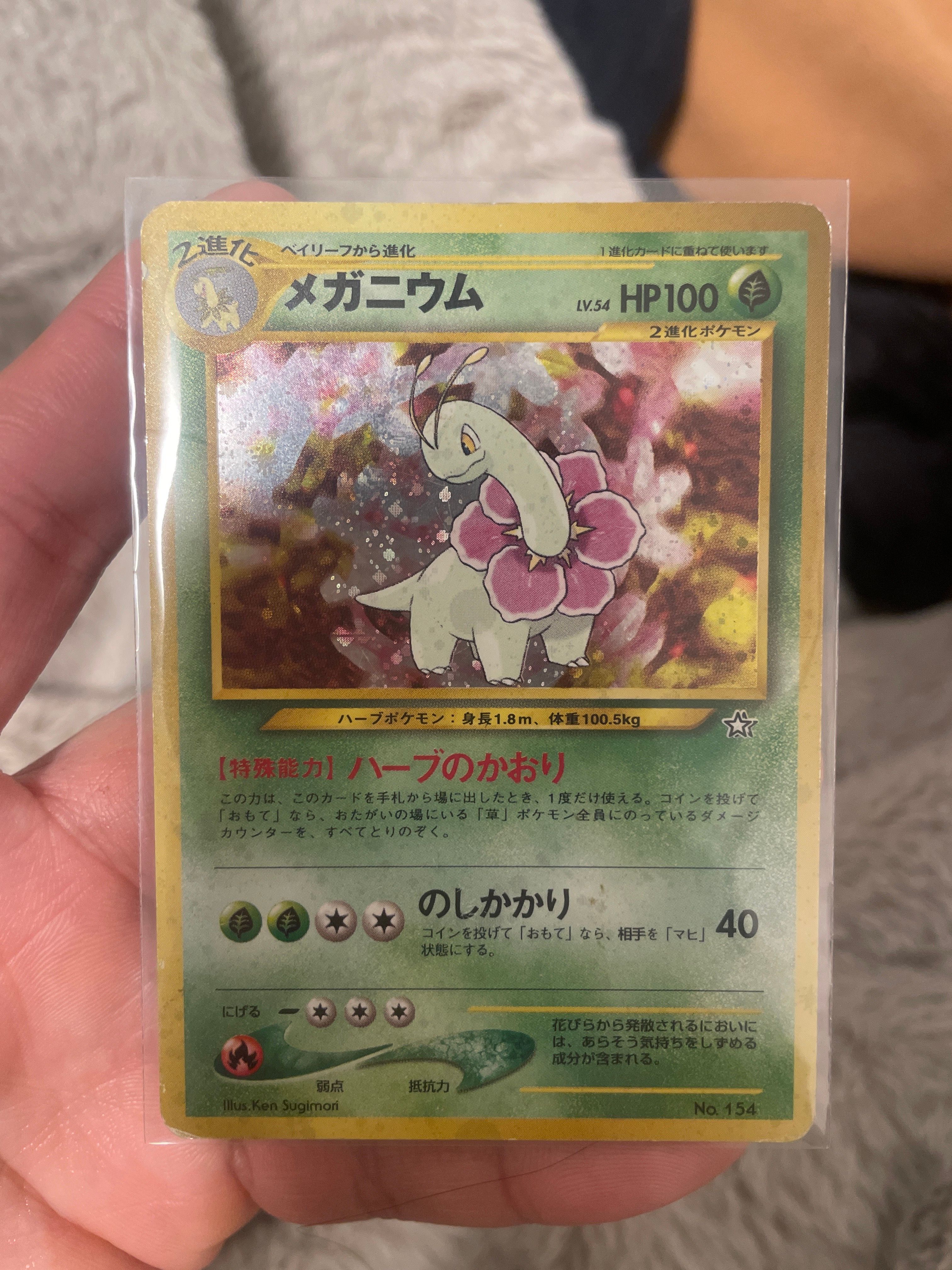 メガニウム イントロパック: 旧裏[neoI No.154](イントロパック★neo)