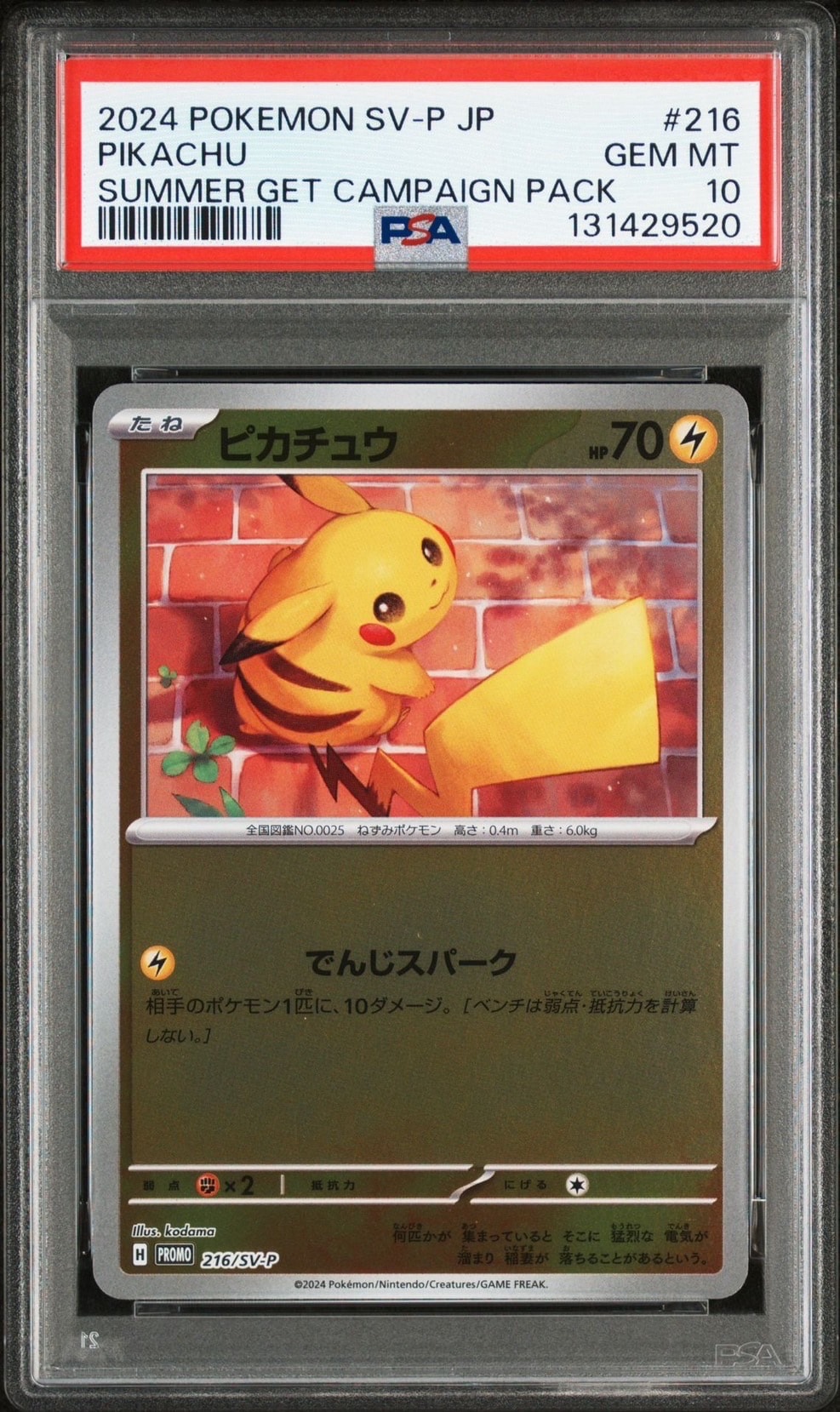 ピカチュウ P [SV-P 216](プロモカードパック「ポケカの夏がキタ!プロモカードGetキャンペーン!」)
